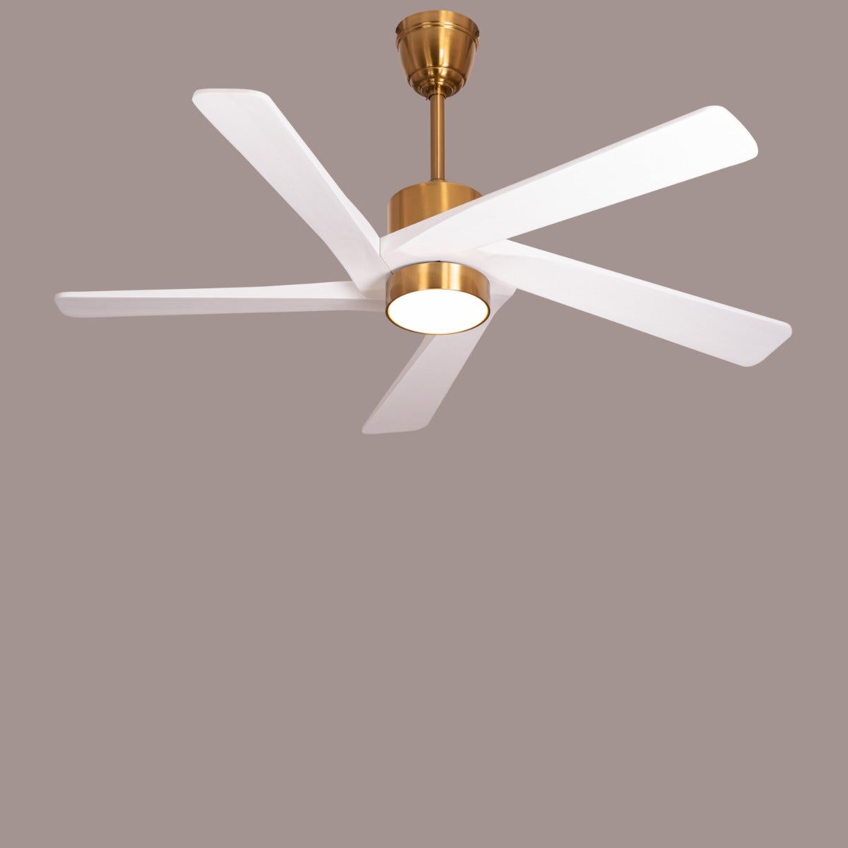 Bangkok Social (140 cm Span, Gold Finish Metal Body, White Finish Wooden Blades) Dimmable LED With Remote Control Ceiling Fan