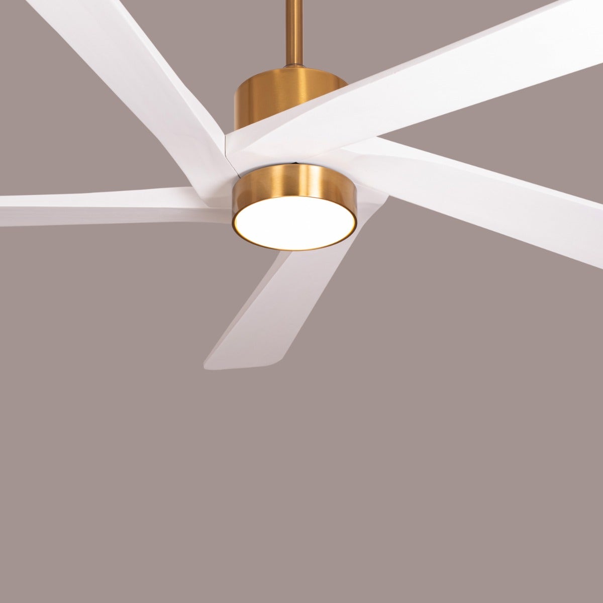 Bangkok Social (140 cm Span, Gold Finish Metal Body, White Finish Wooden Blades) Dimmable LED With Remote Control Ceiling Fan