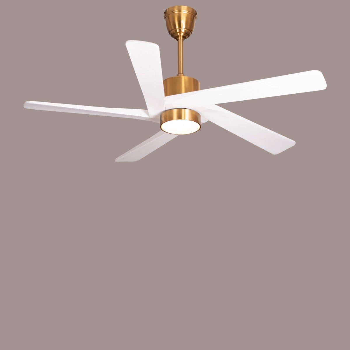 Bangkok Social (140 cm Span, Gold Finish Metal Body, White Finish Wooden Blades) Dimmable LED With Remote Control Ceiling Fan