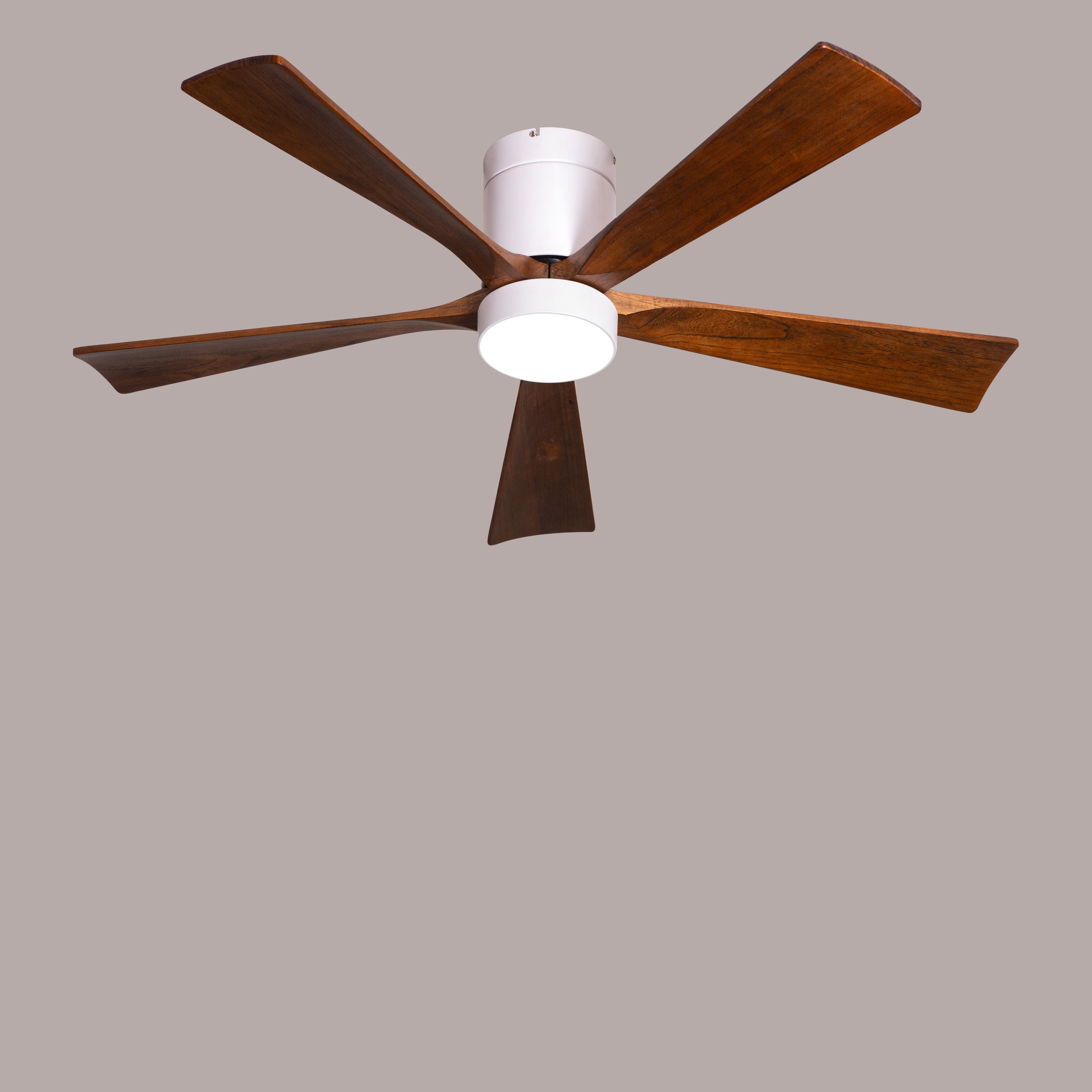 Peru Perfect (130 cm Span, White Finish Metal Body with Wooden Blades in Walnut Finish) 3 Color LED With Remote Control Ceiling Fan