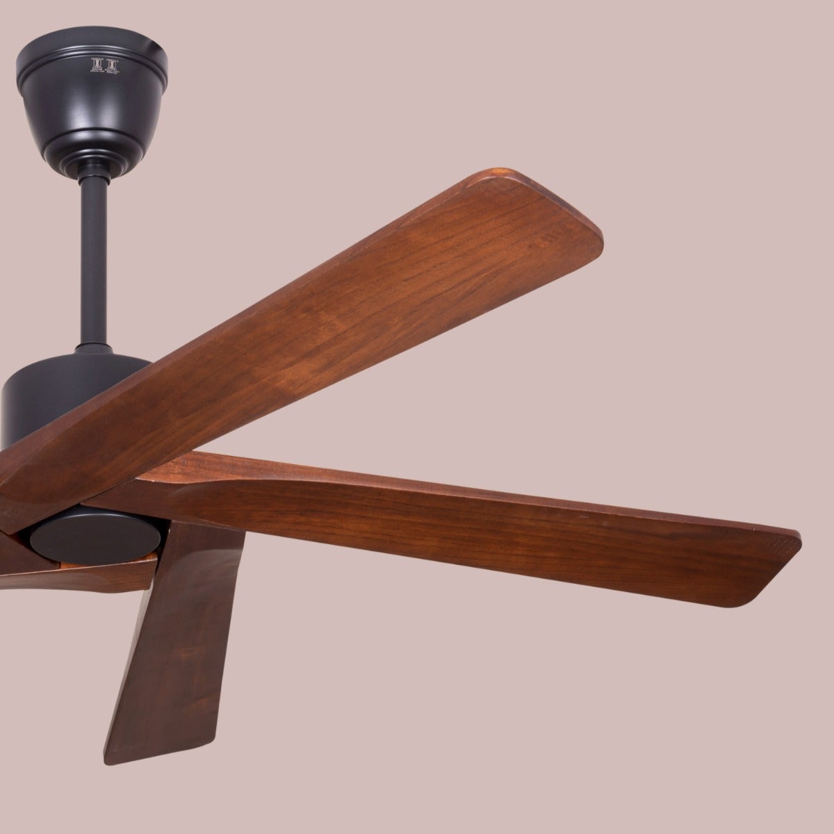 Kensington (137 cm Span, Black Finish Metal Body, Walnut Finish Solid Wood Blades) Ceiling Fan