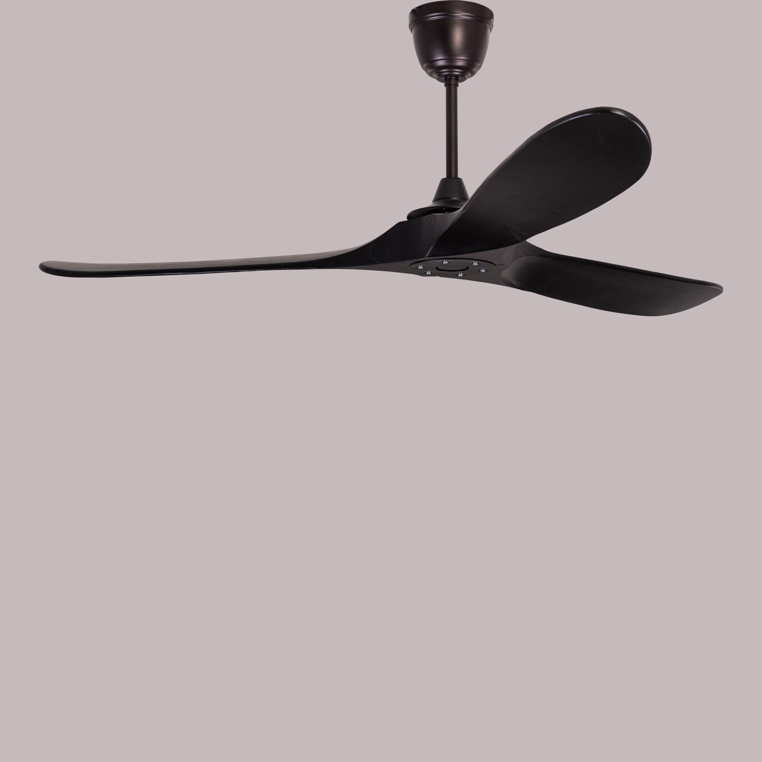 Devil's Advocate (132 cm Span, Black Metal Body, Black Finish Solid Wood) Designer Ceiling Fan