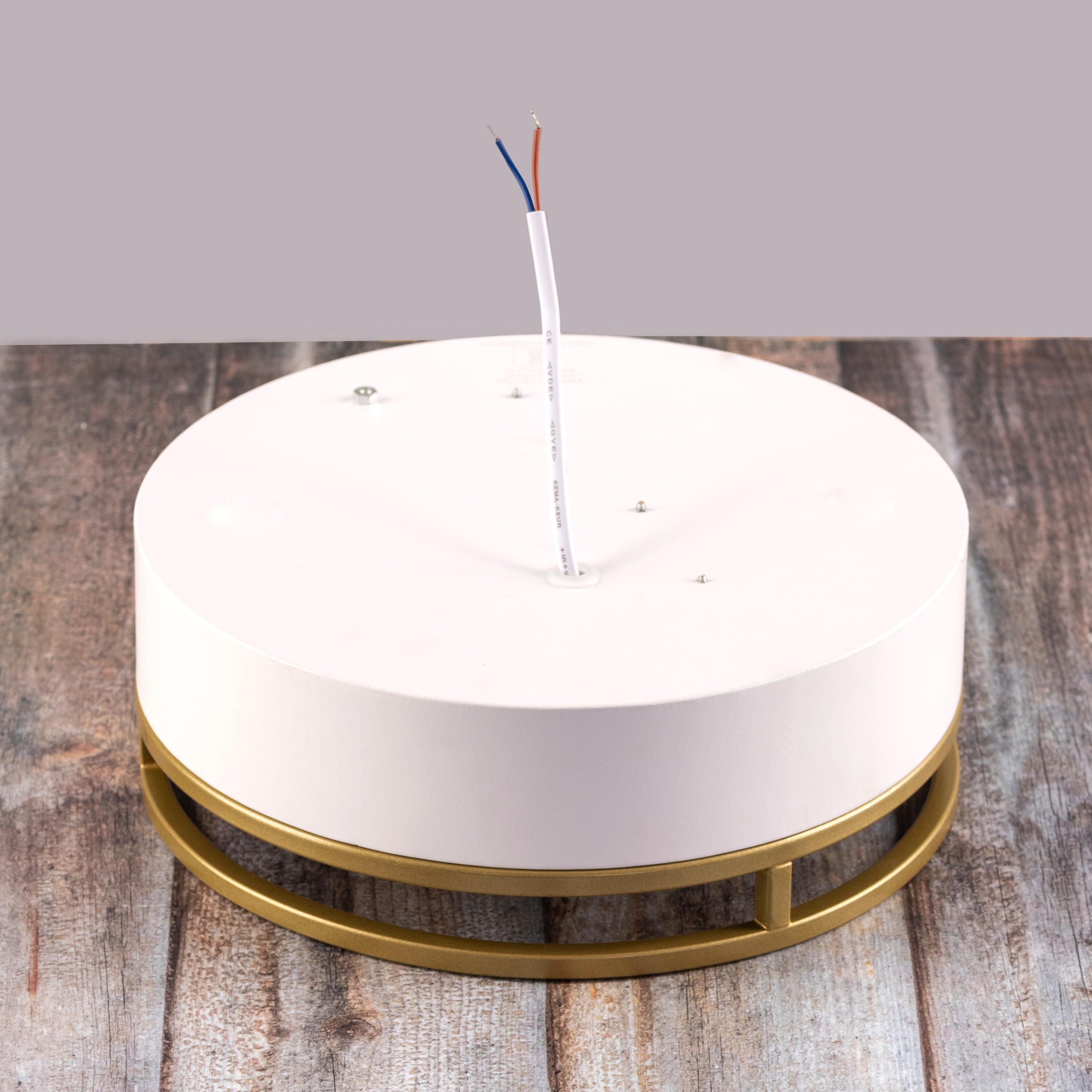 Want You Around (Round, White, Built-In LED) Ceiling Light