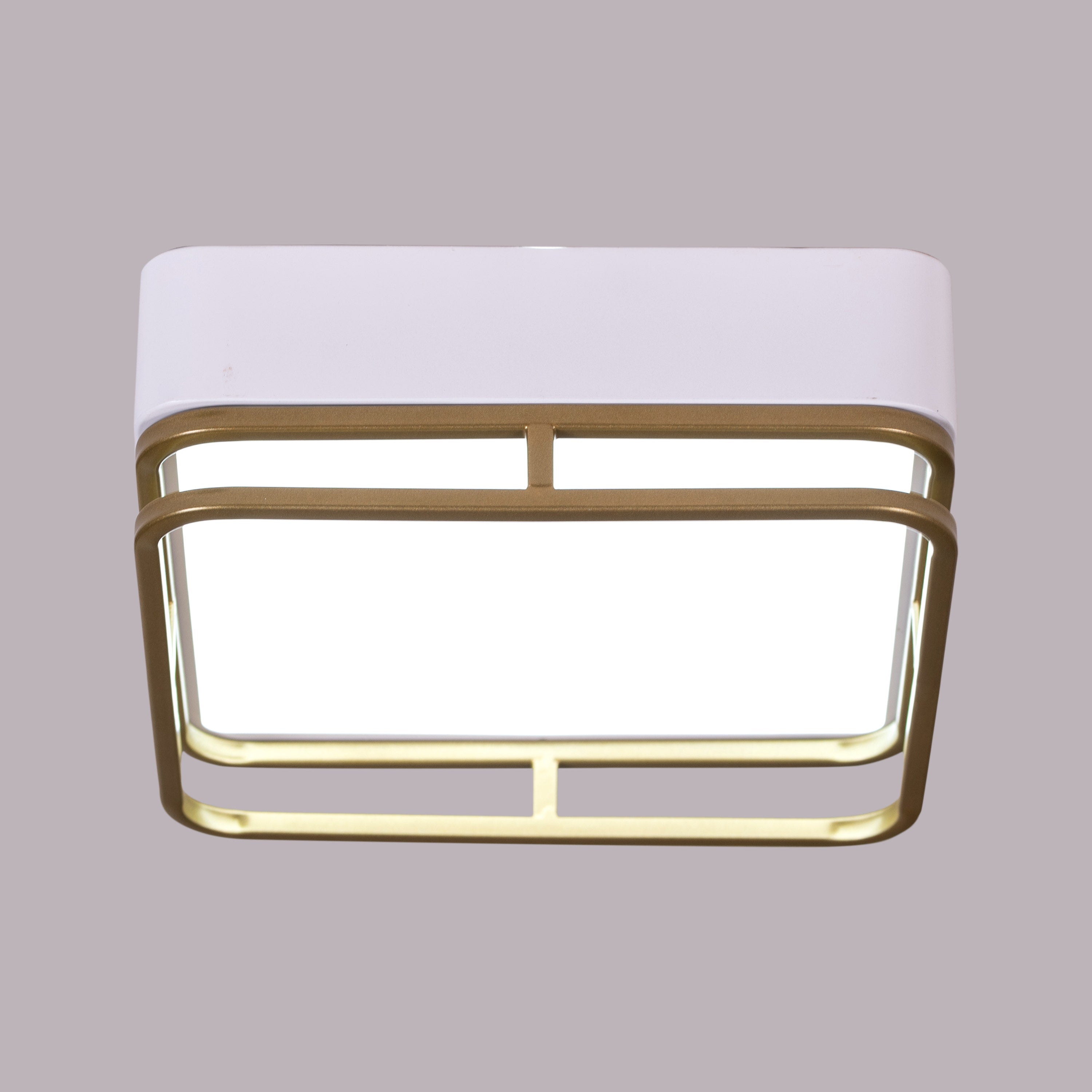 Want You Around (White, 3 Color Built-In LED) Ceiling Light