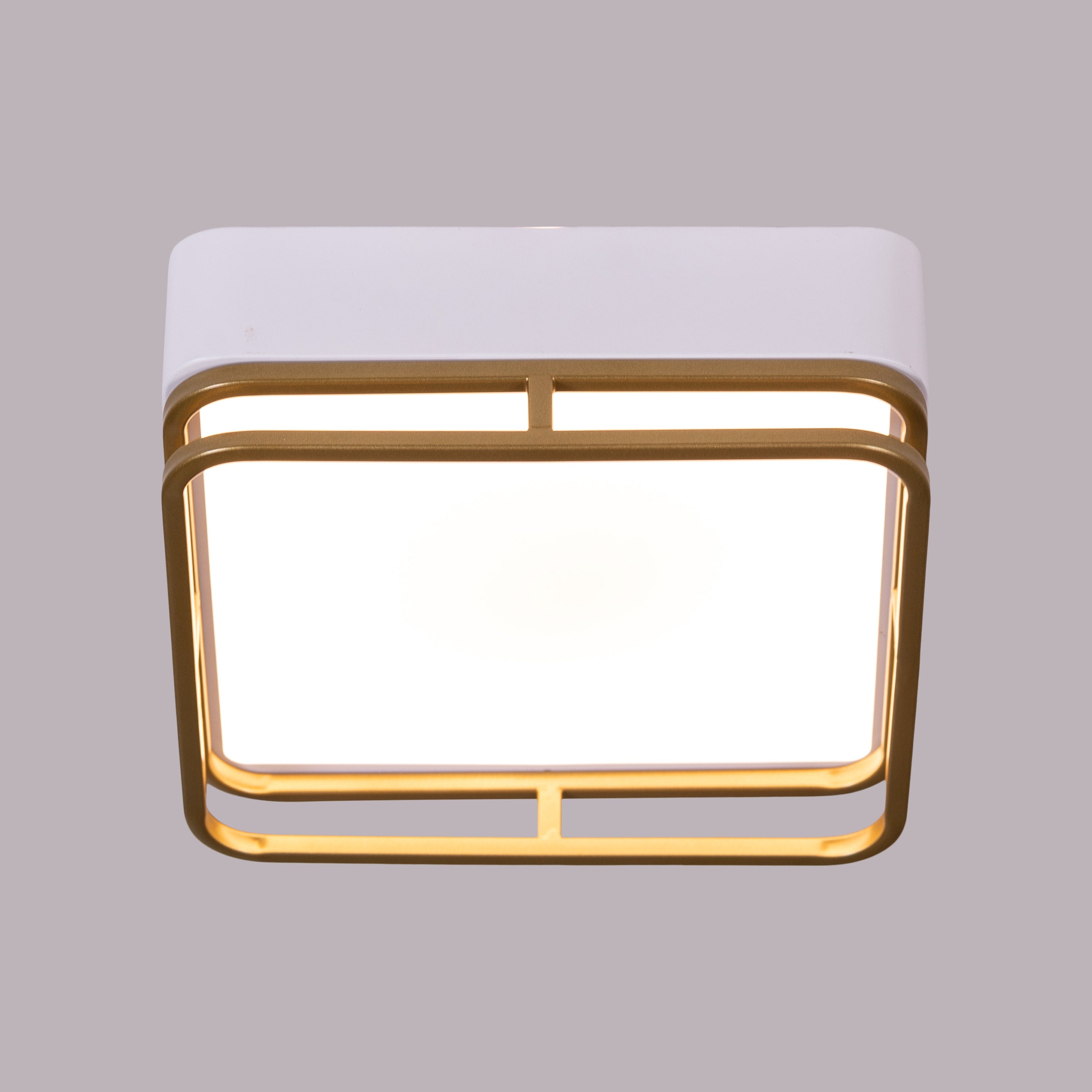 Want You Around (White, 3 Color Built-In LED) Ceiling Light