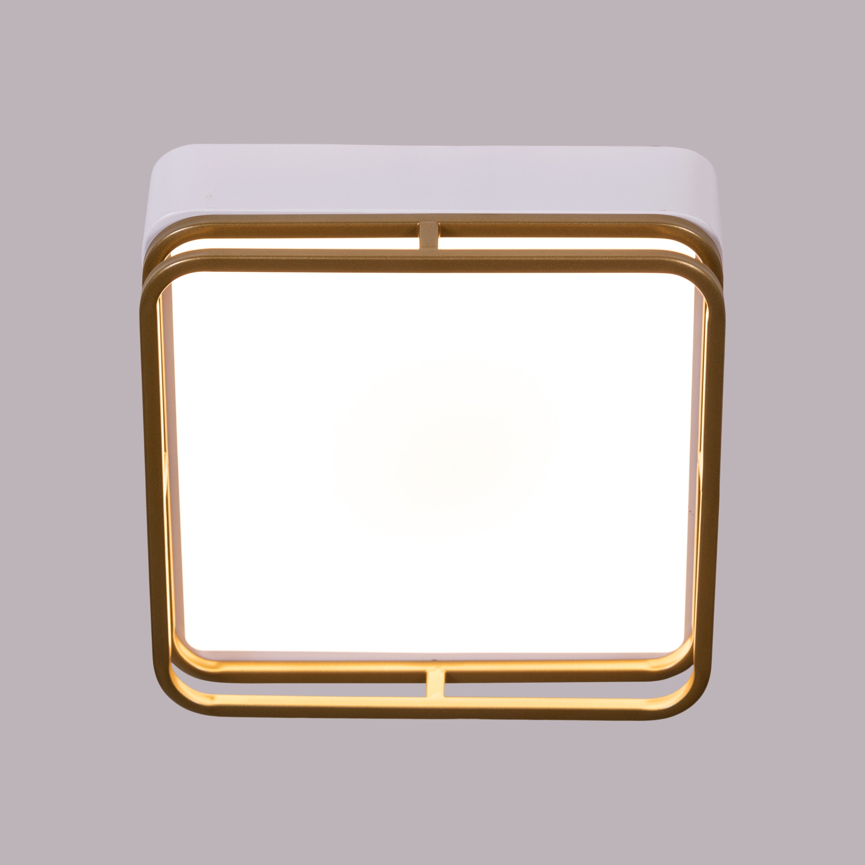 Want You Around (White, 3 Color Built-In LED) Ceiling Light