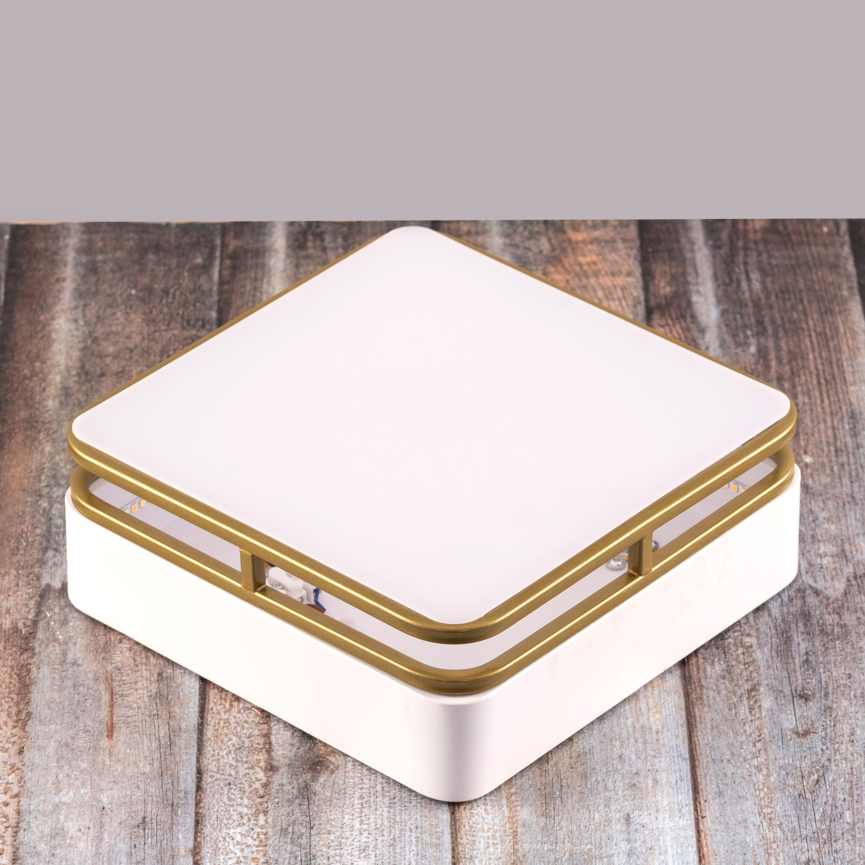 Want You Around (White, 3 Color Built-In LED) Ceiling Light