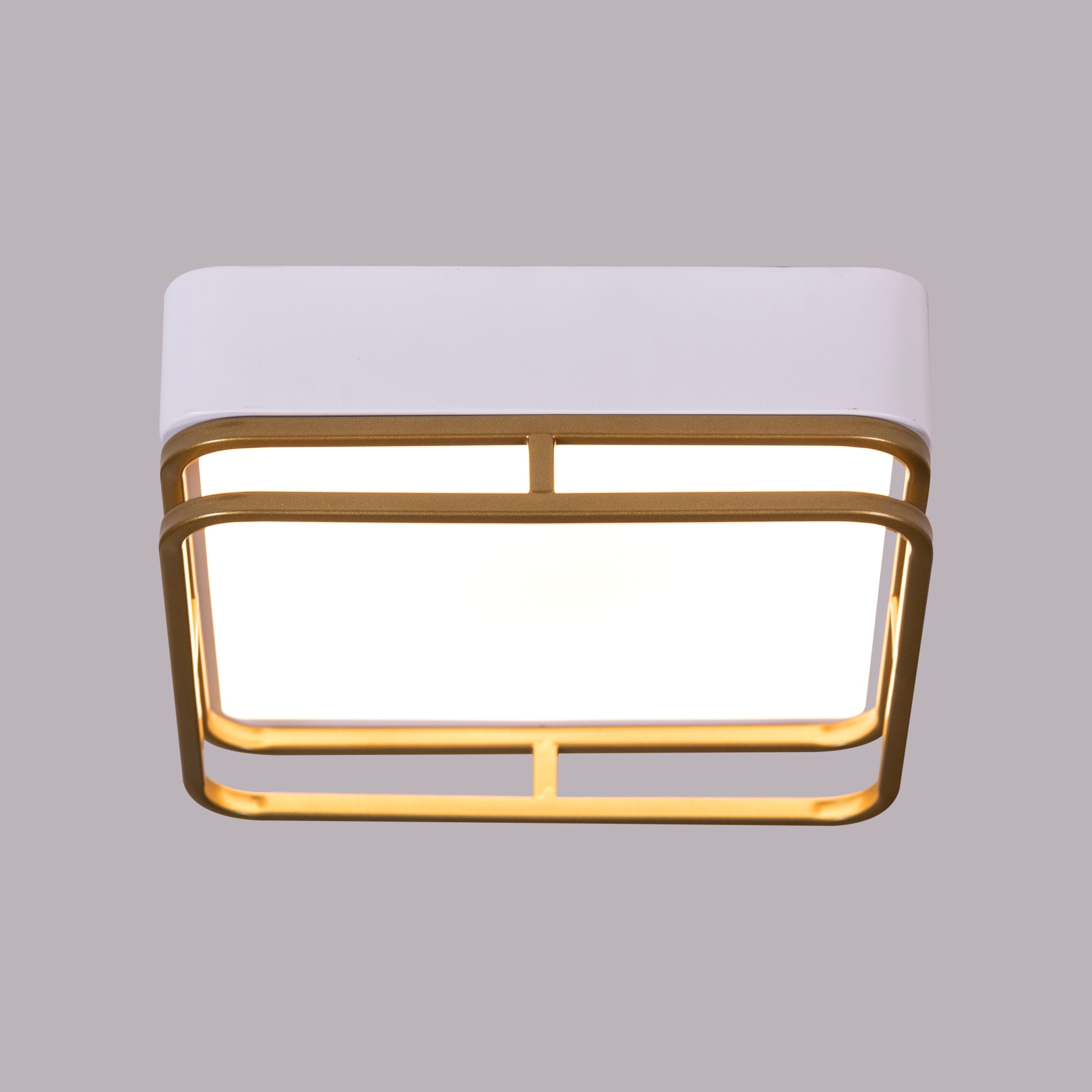 Want You Around (White, 3 Color Built-In LED) Ceiling Light