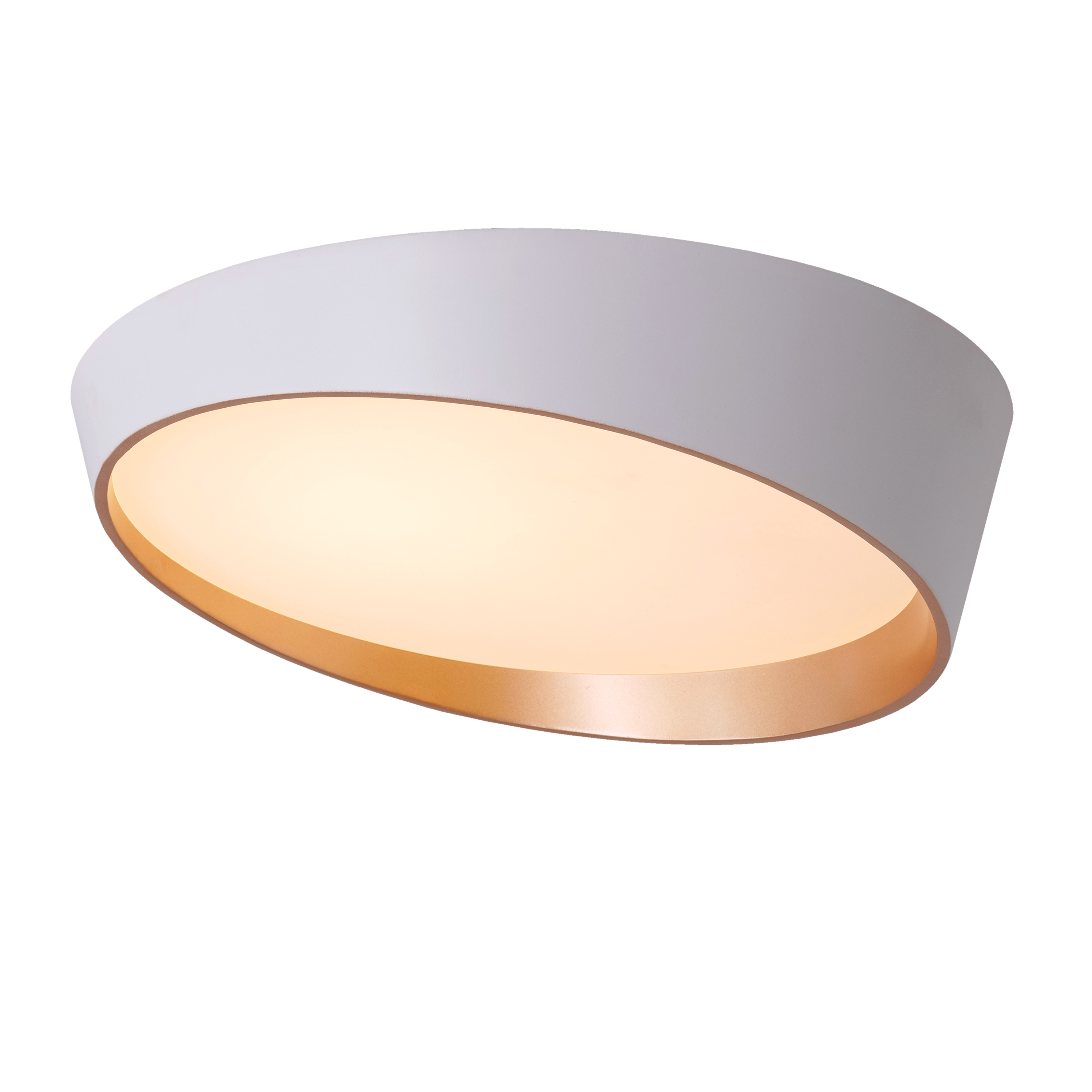 Hidden Ace (White,Large) Ceiling Light