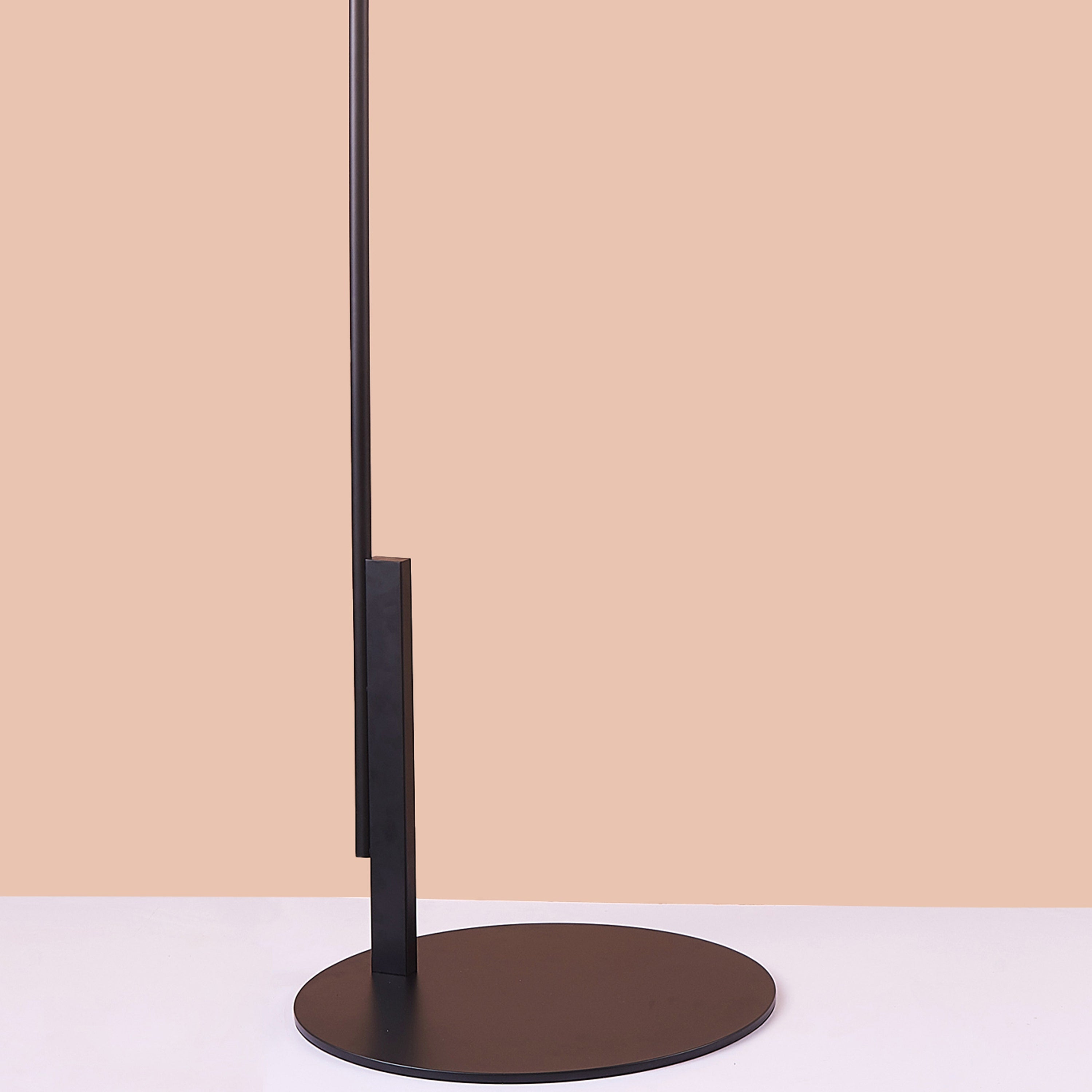 Look No Further (Black) Floor Lamp