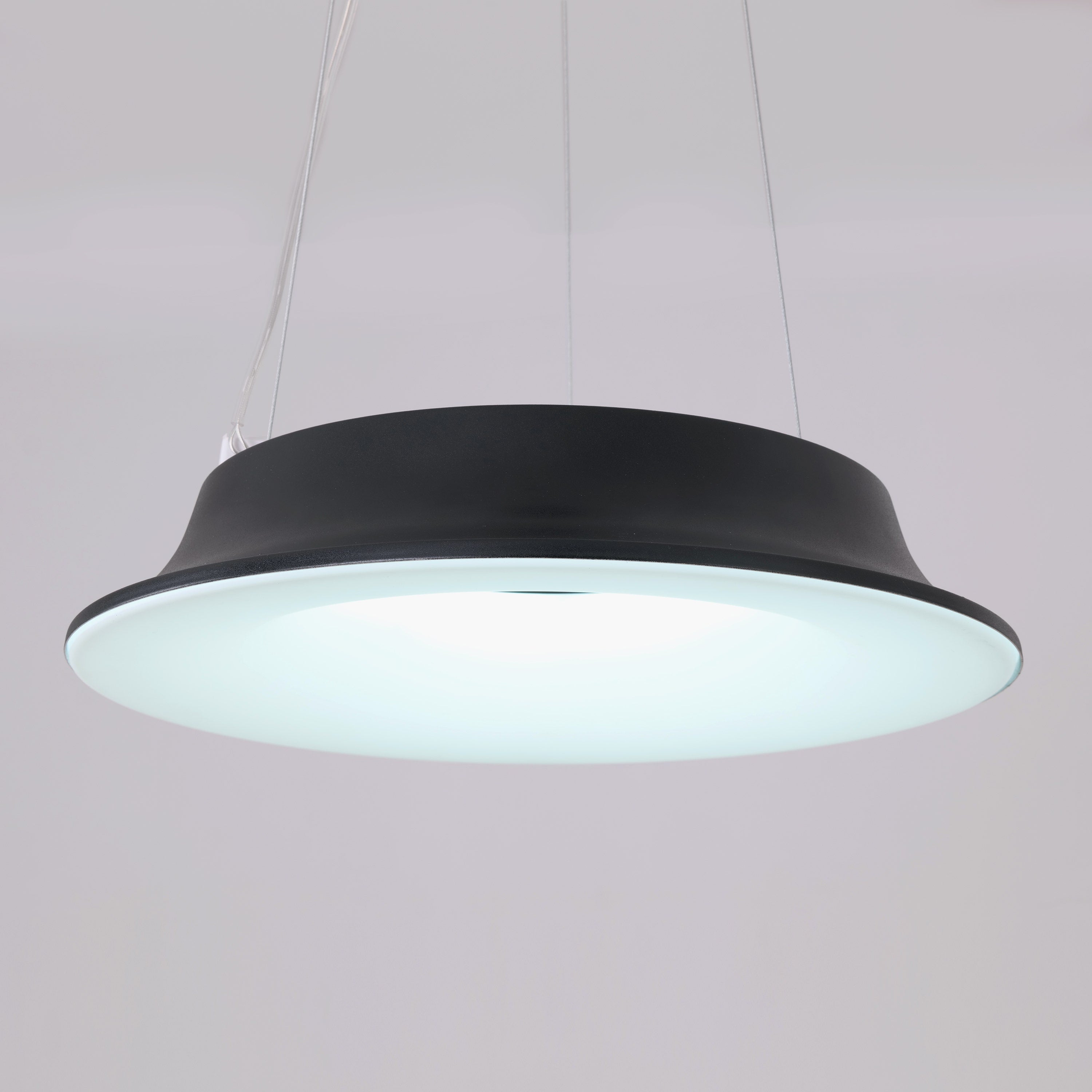 Home Grown Glow (Black) Pendant Light
