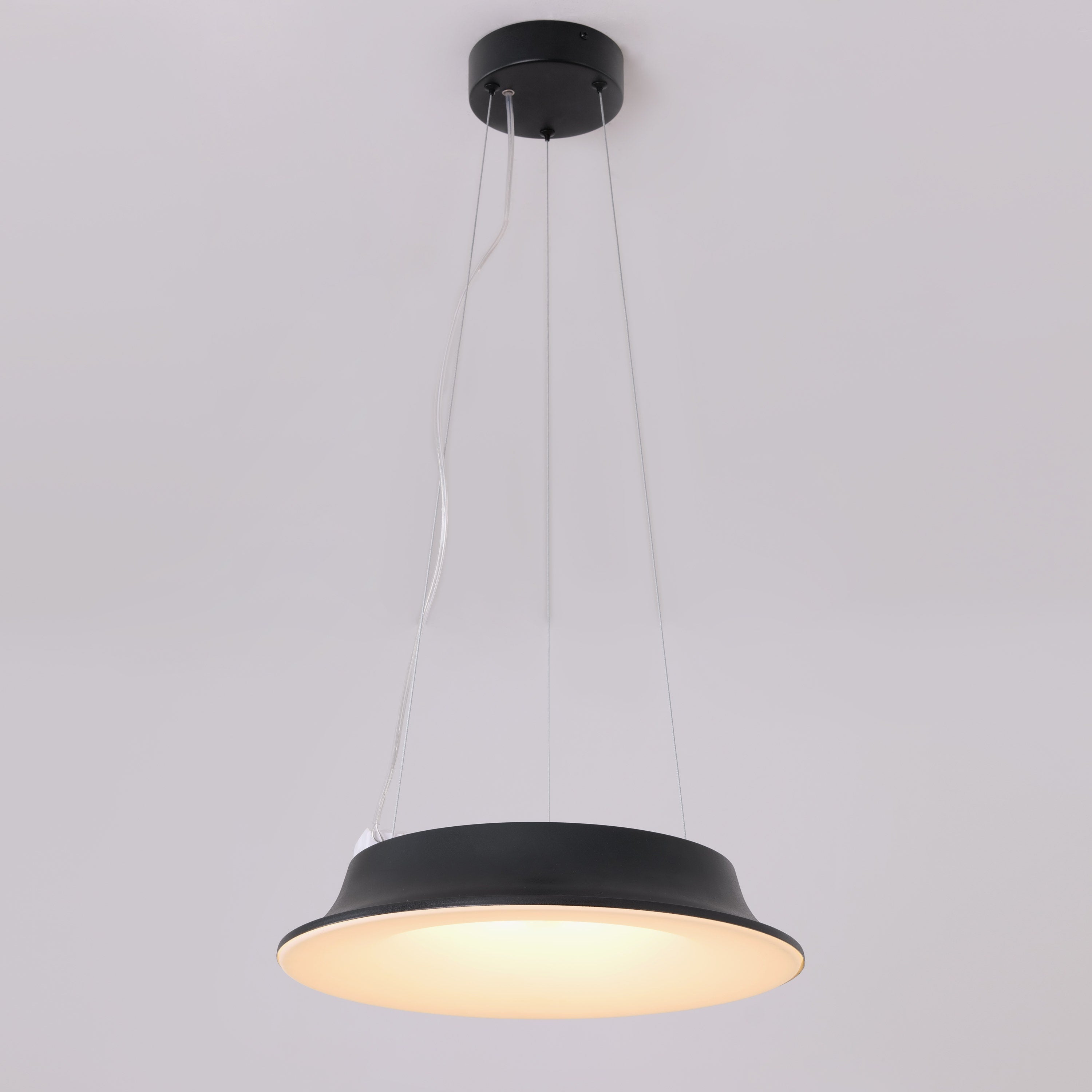 Home Grown Glow (Black) Pendant Light