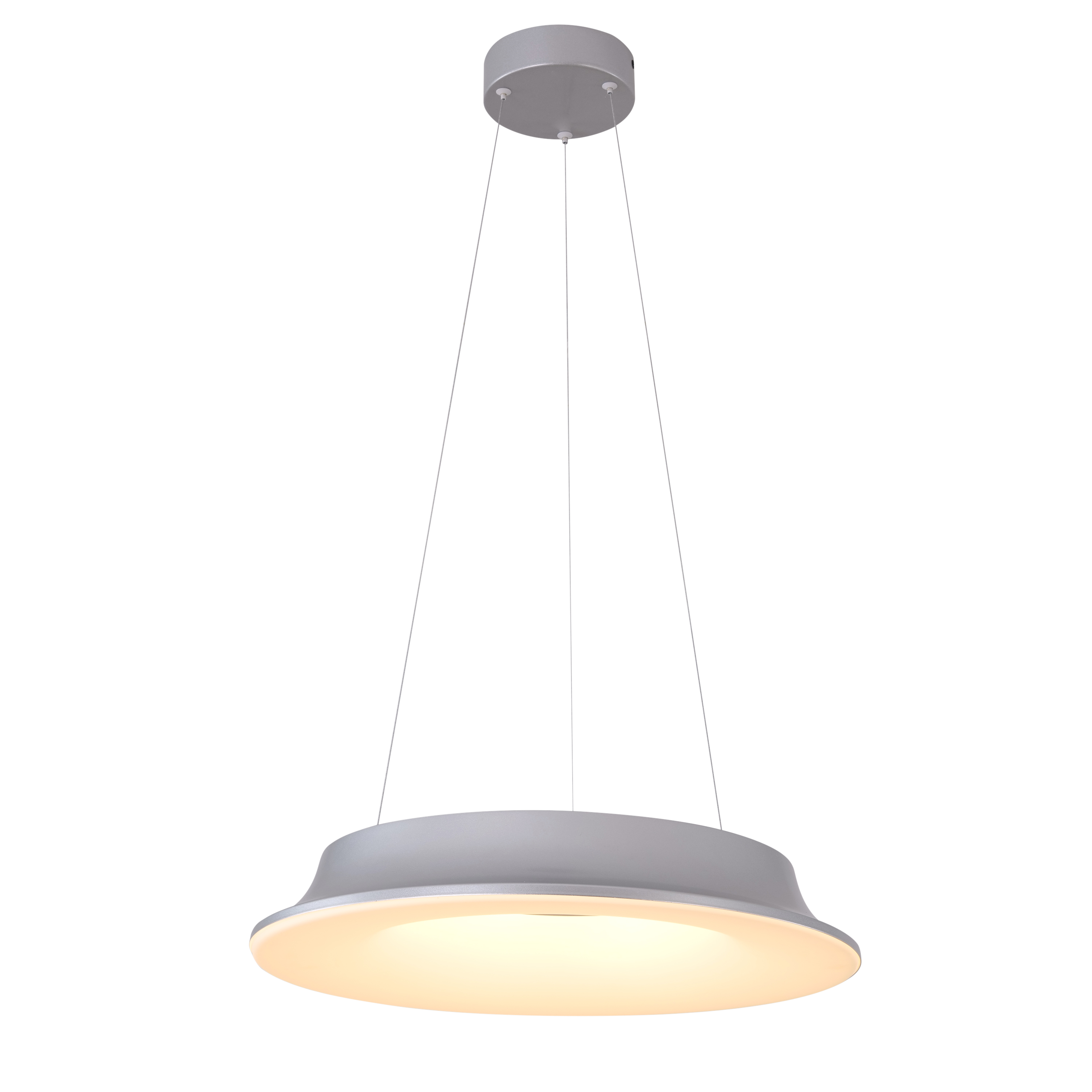 Home Grown Glow (Grey) Pendant Light