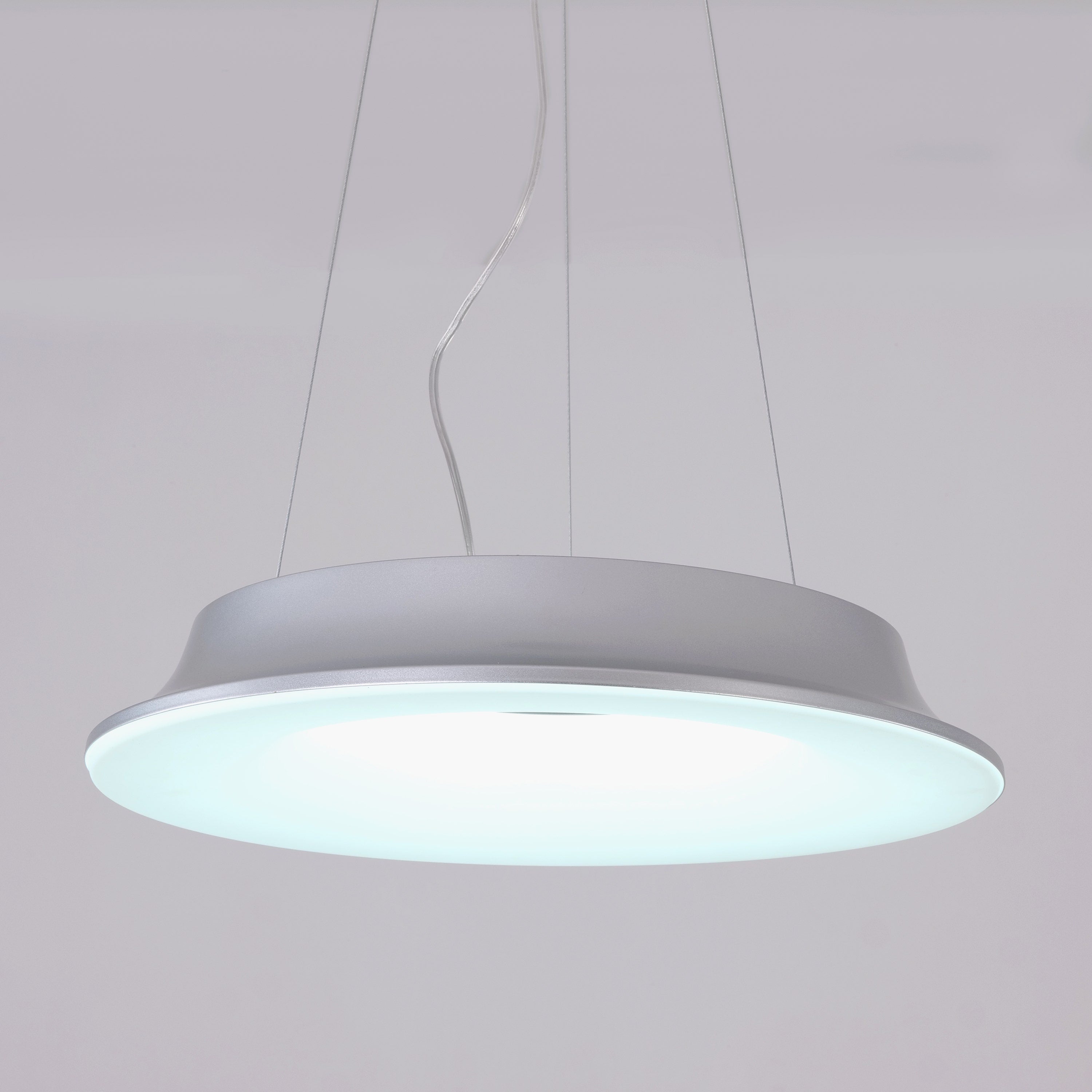 Home Grown Glow (Grey) Pendant Light
