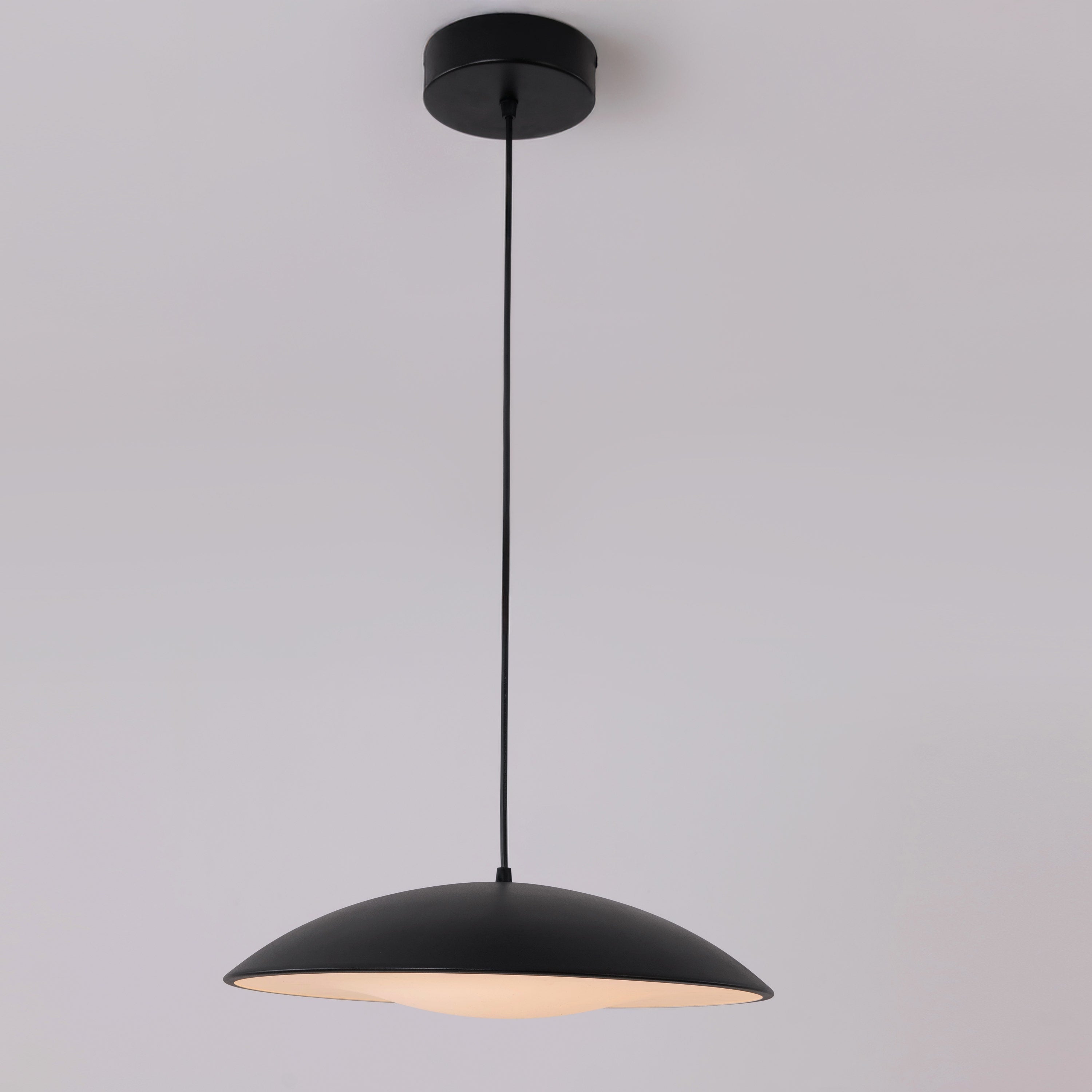 Annual Party (Black) Pendant Light