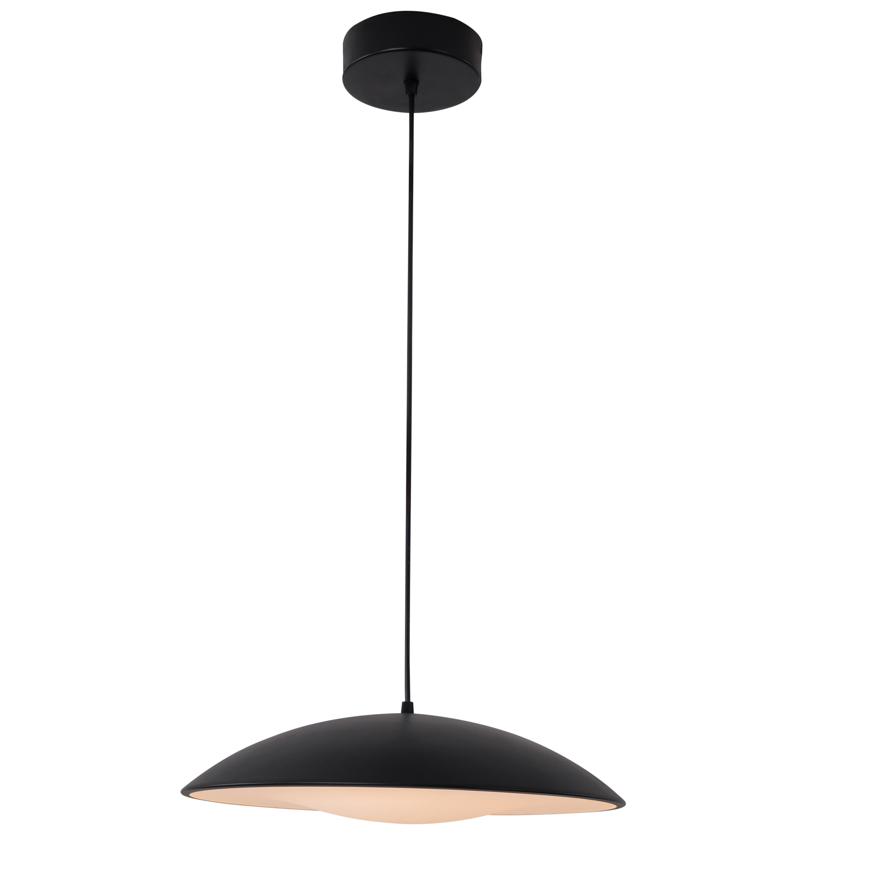 Annual Party (Black) Pendant Light