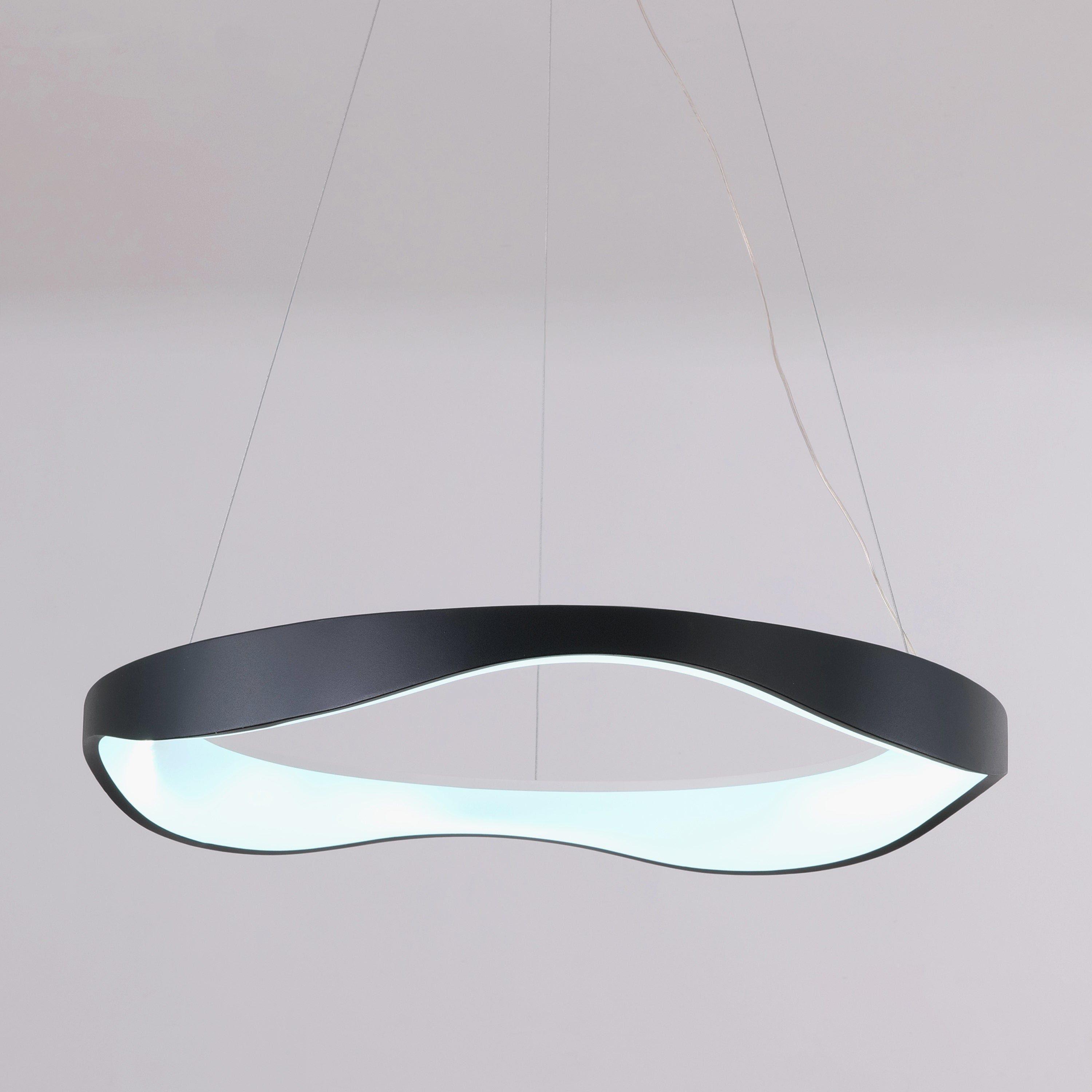 Longtime Love (Black) Pendant Light