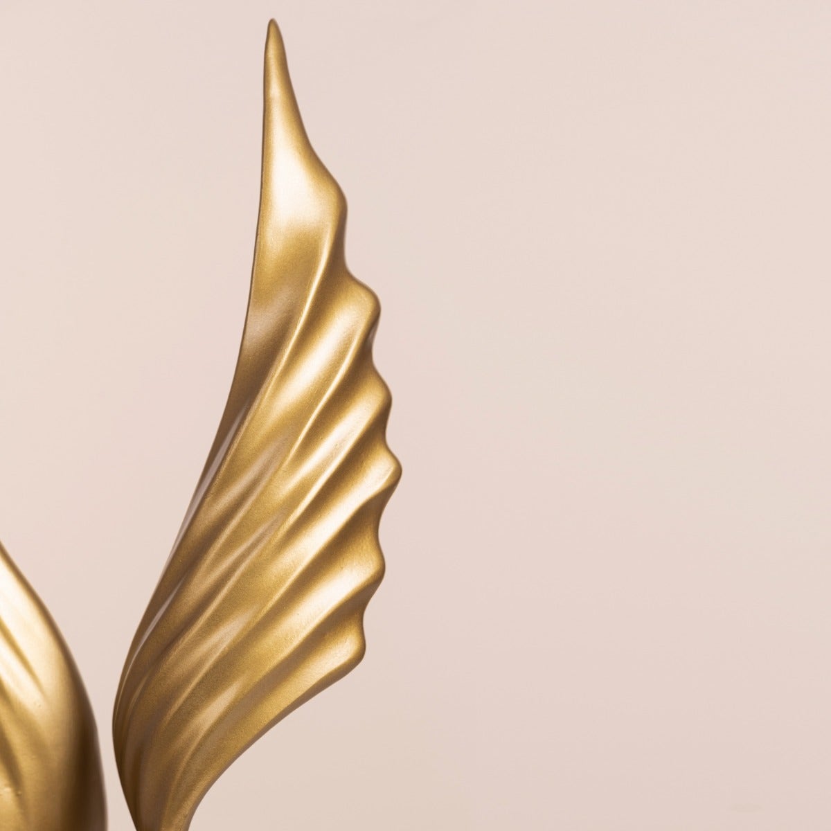 Fashion Focus Home Decor