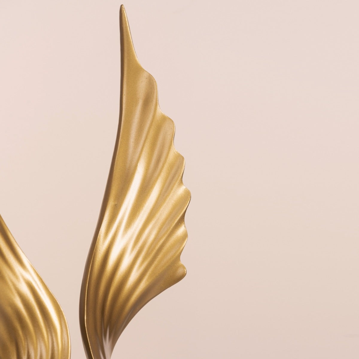 Fashion Focus Home Decor