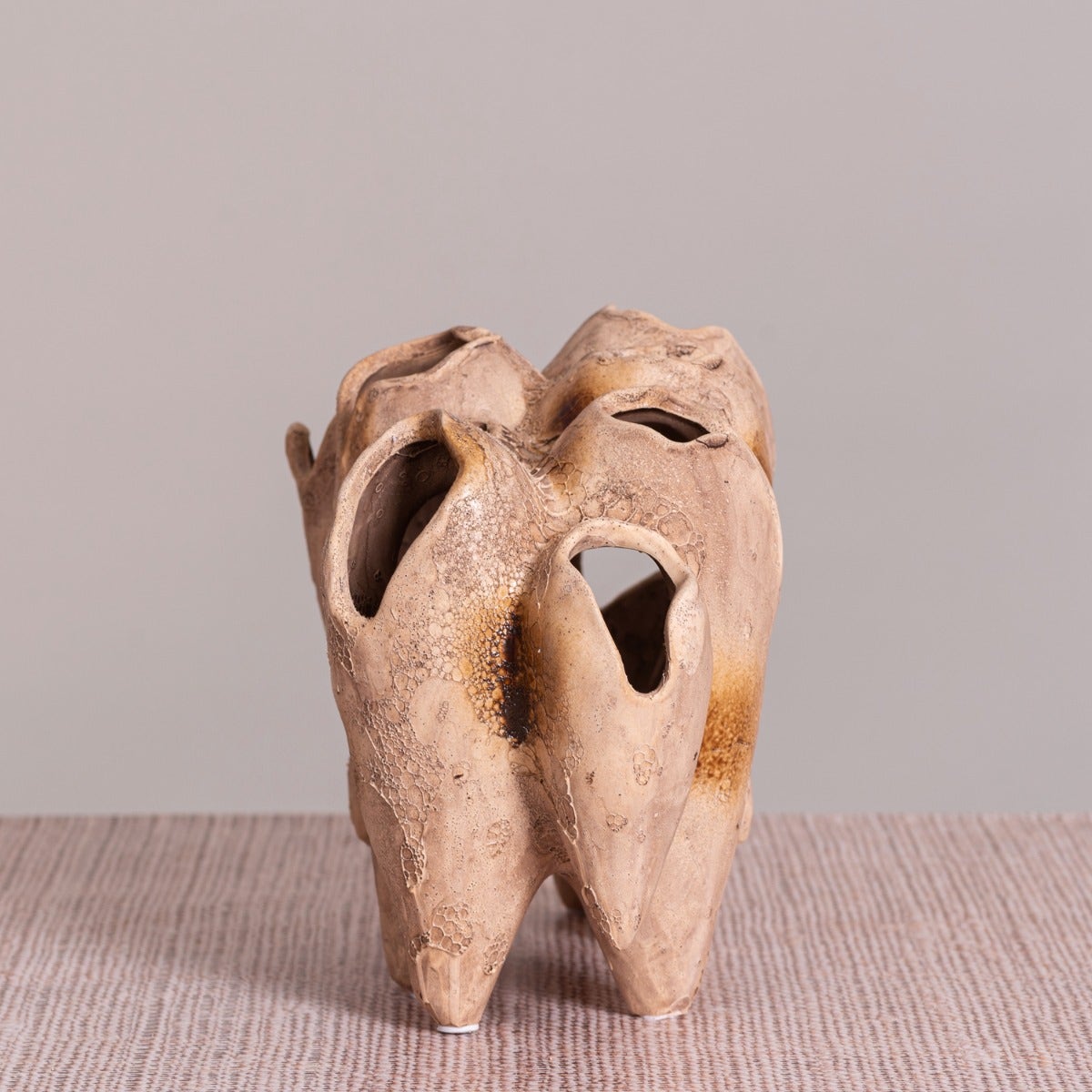 Lost World (Brown) Home Decor