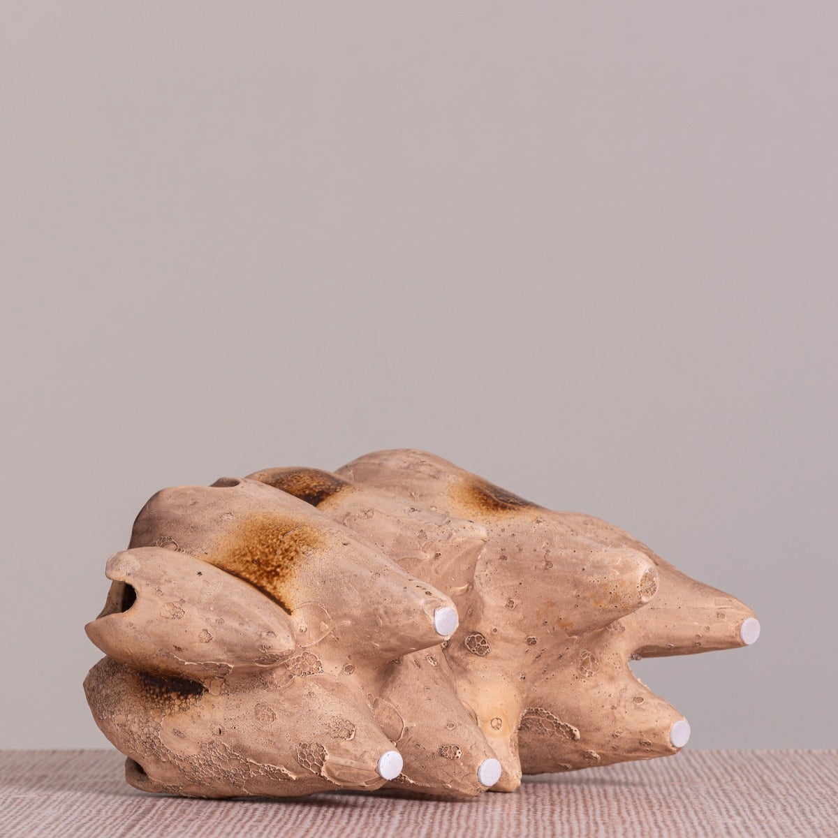 Lost World (Brown) Home Decor