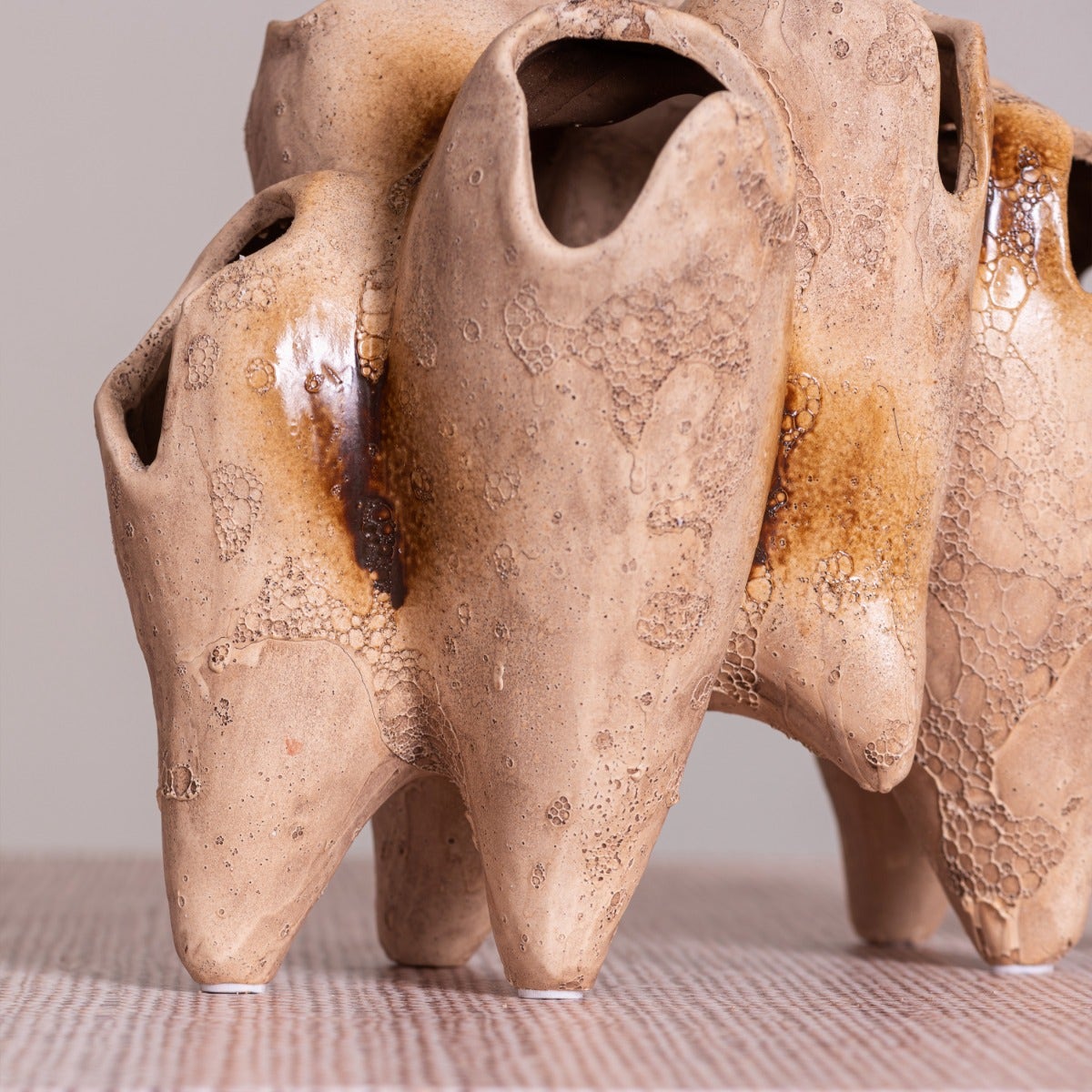 Lost World (Brown) Home Decor