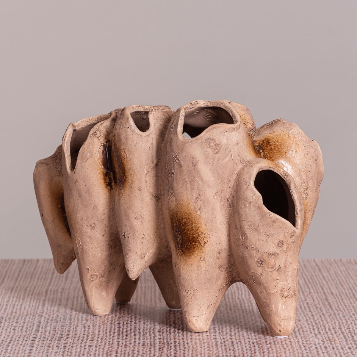 Lost World (Brown) Home Decor