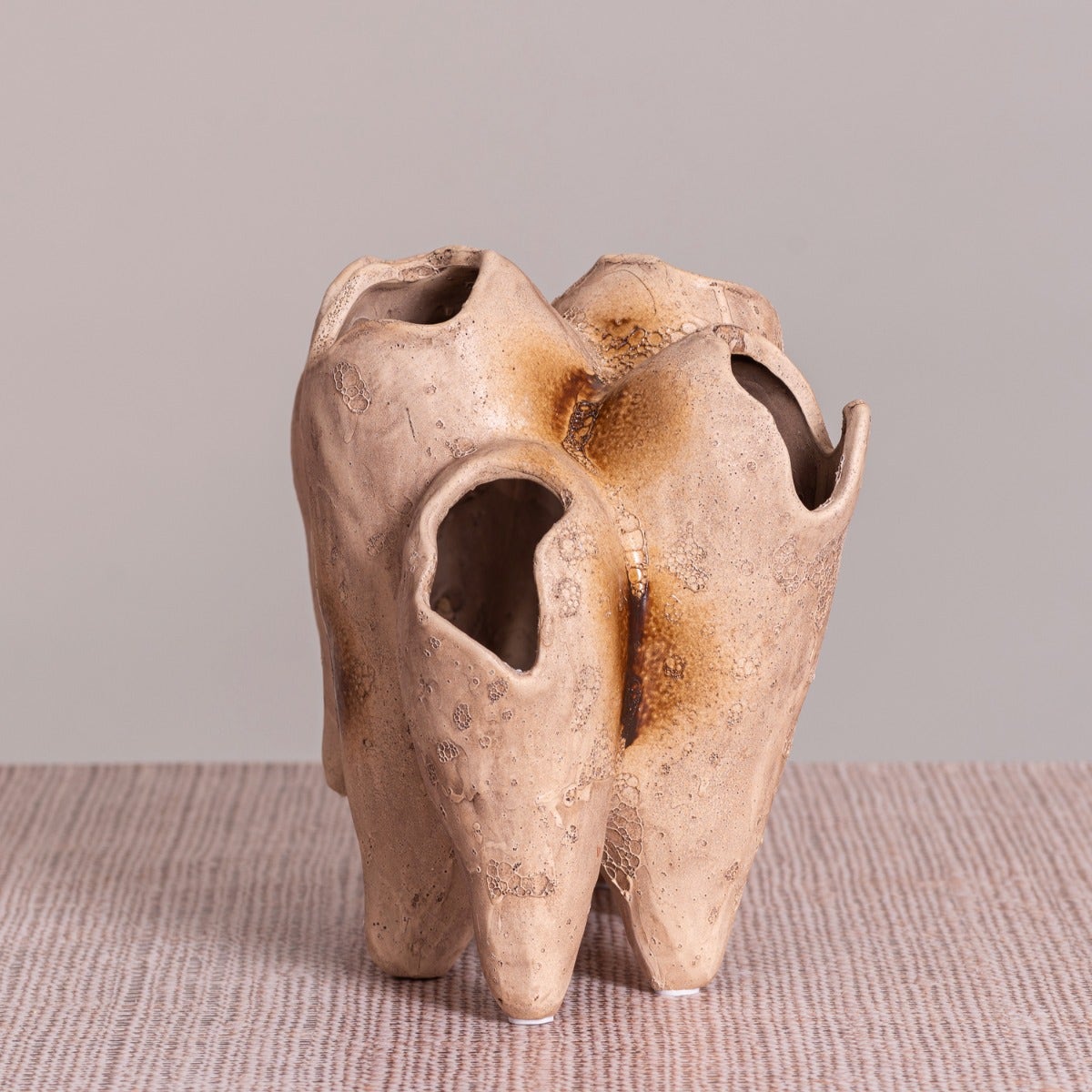 Lost World (Brown) Home Decor