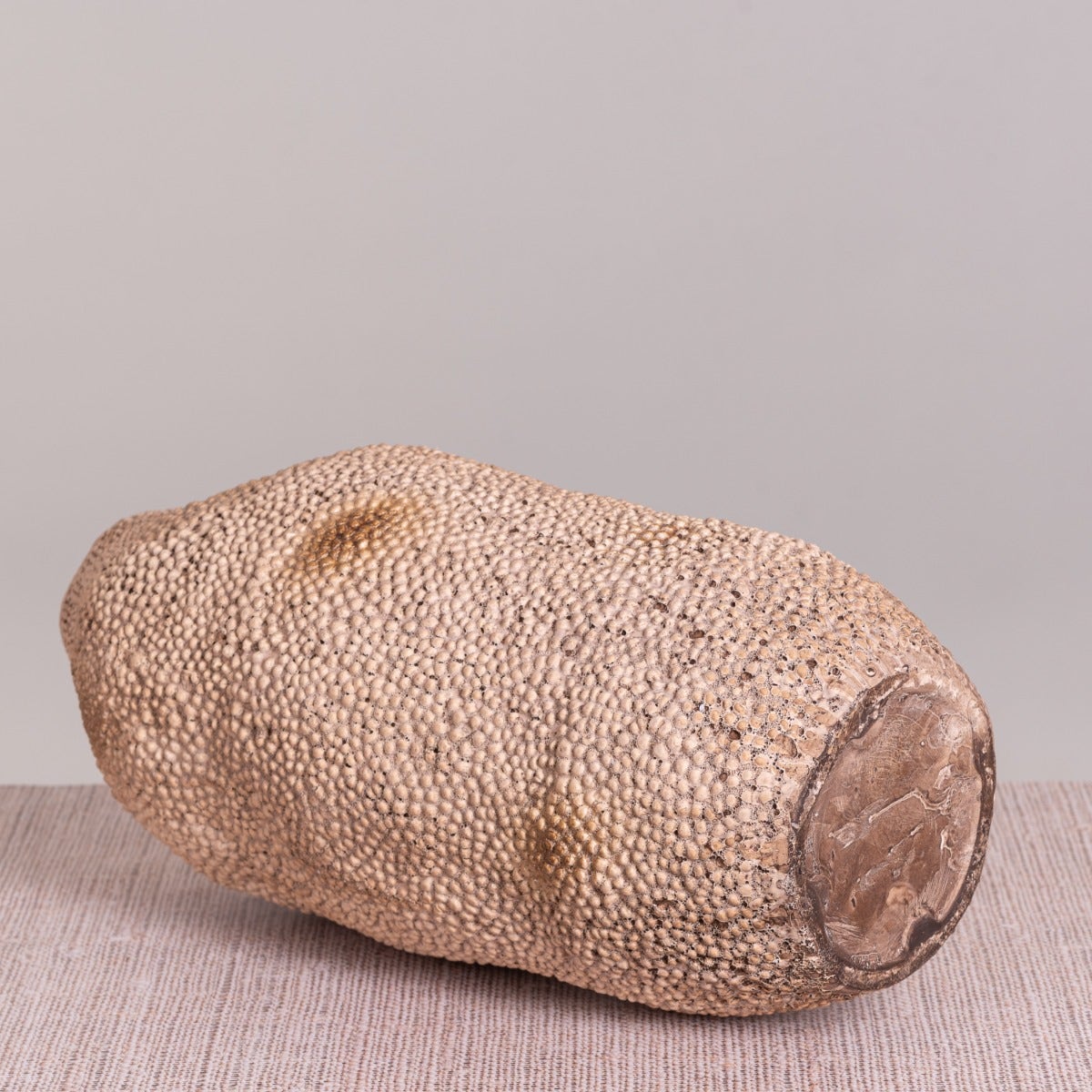Coral Deep (Large, Brown) Ceramic Vase