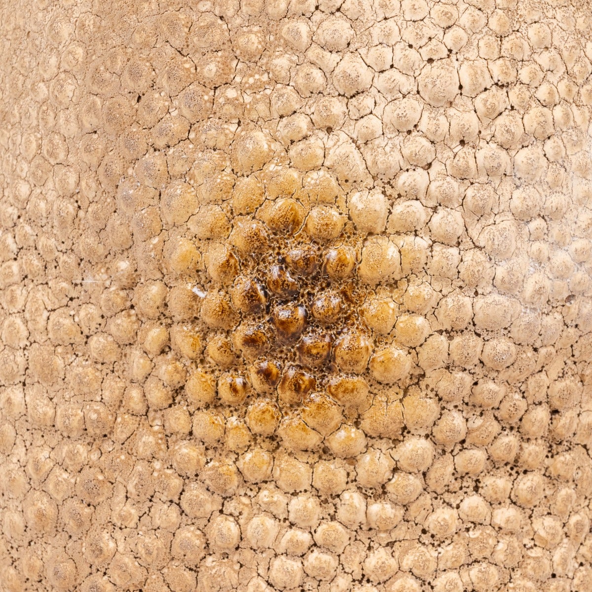 Coral Deep (Small, Brown) Ceramic Vase