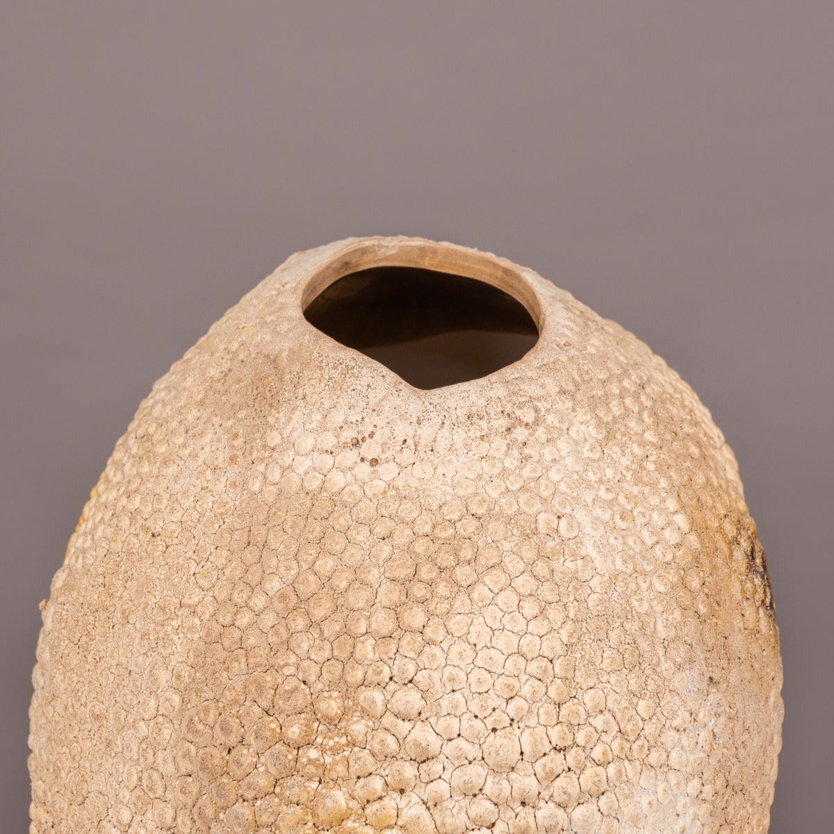 Coral Deep (Small, Brown) Ceramic Vase