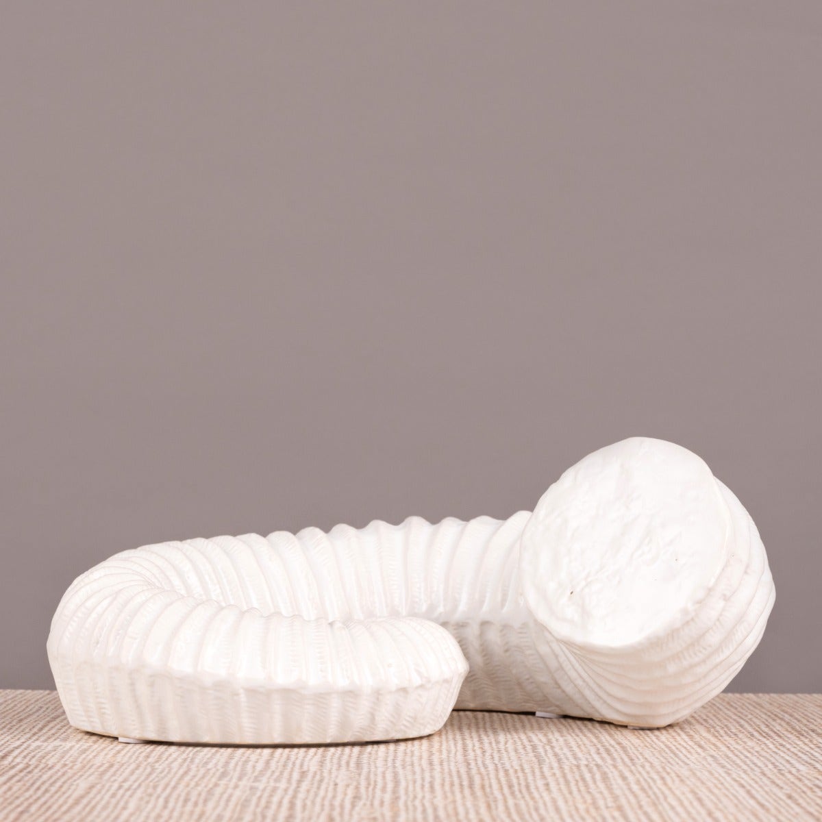 Snails Pace (White) Ceramic  Home Decor