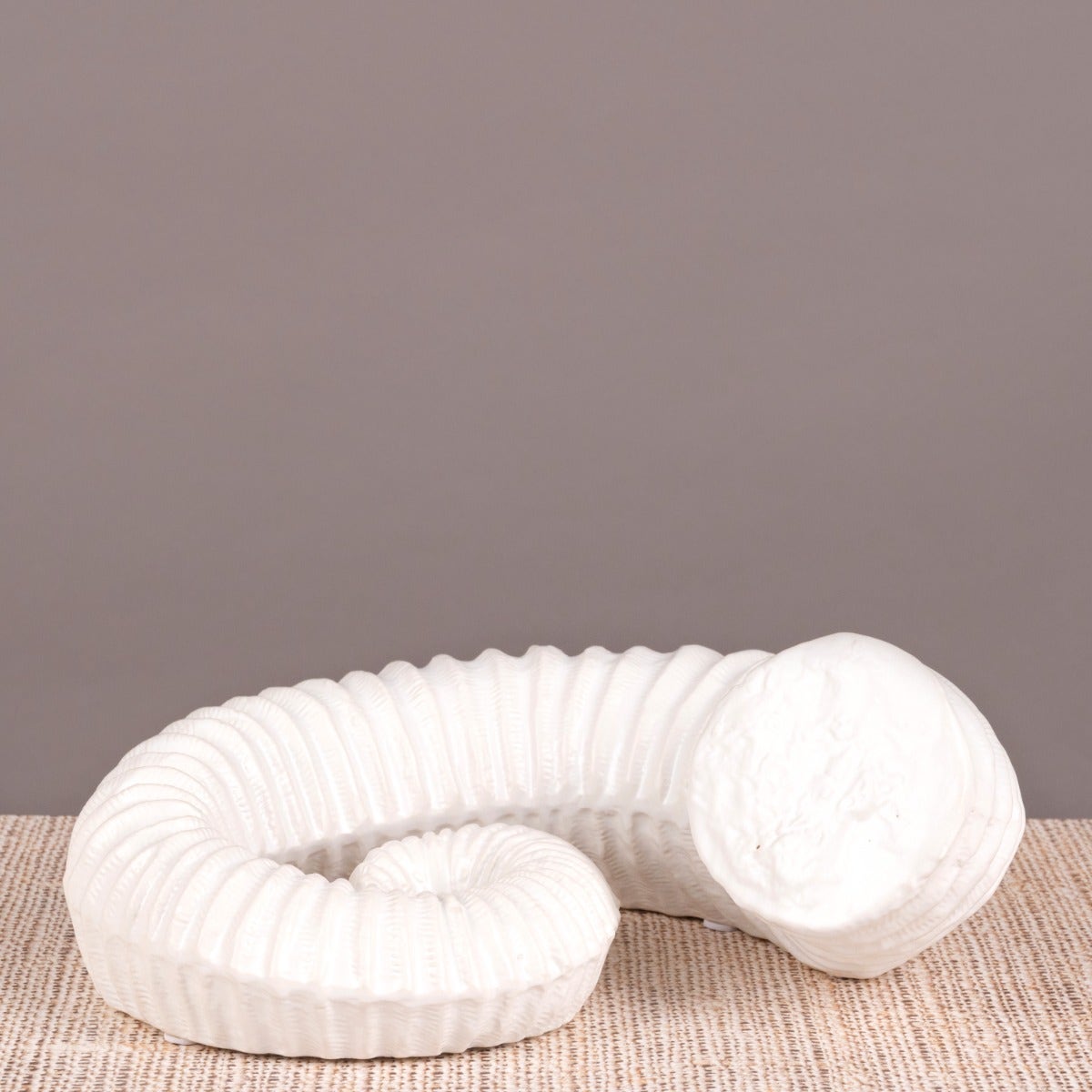 Snails Pace (White) Ceramic  Home Decor