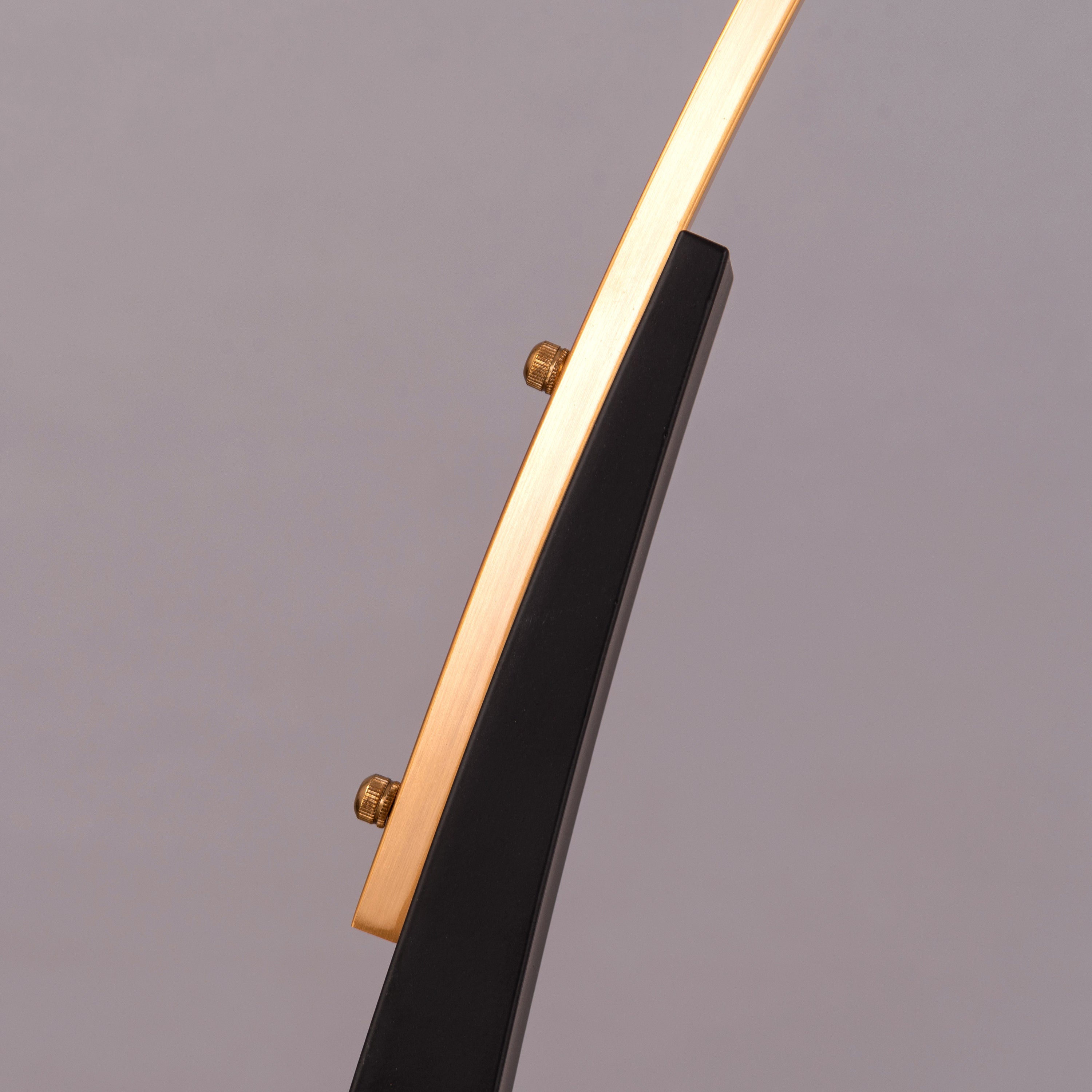 Direct Flight (Black, Gold) Floor Lamp