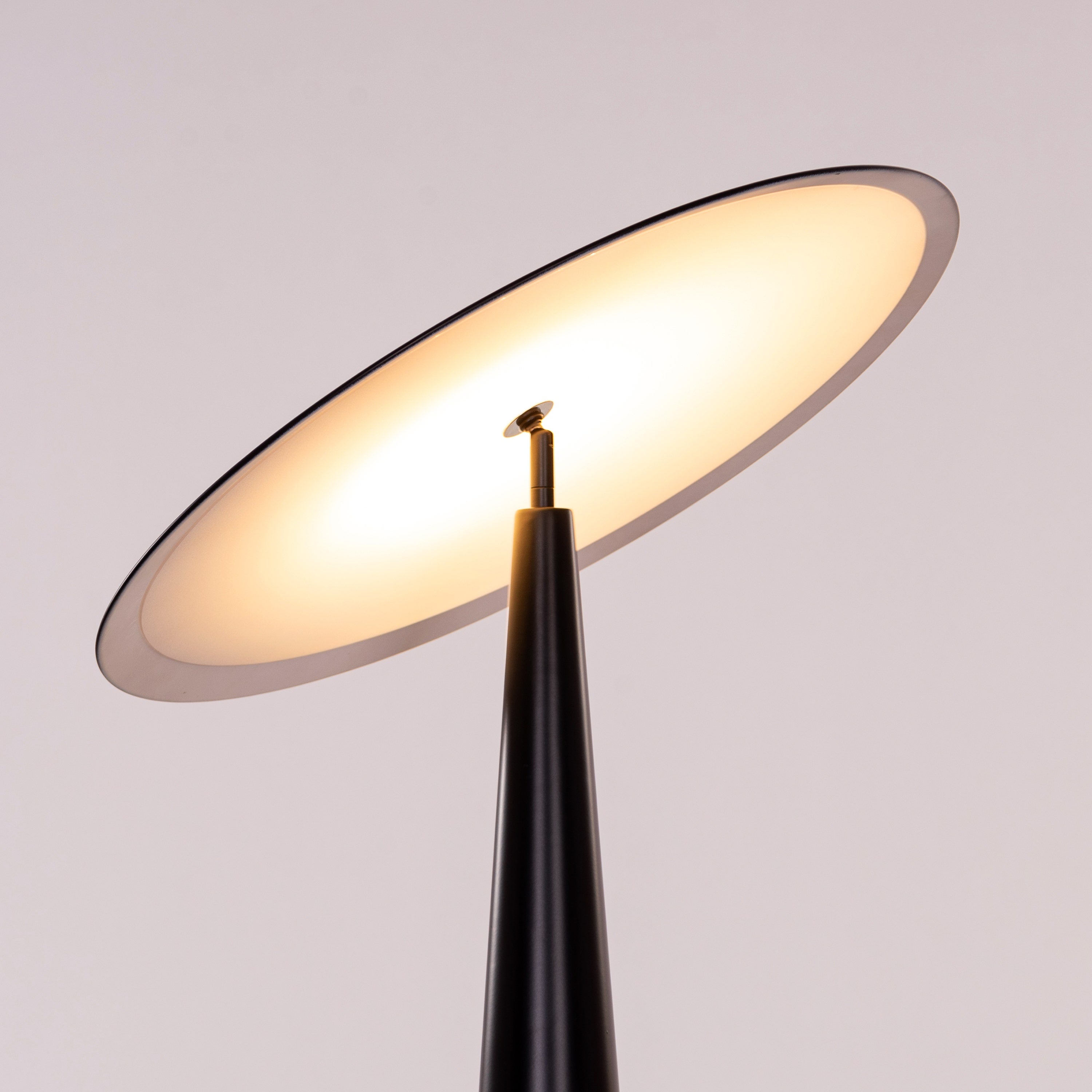 Can't Quit Me (Black) Built-In LED Floor Lamp