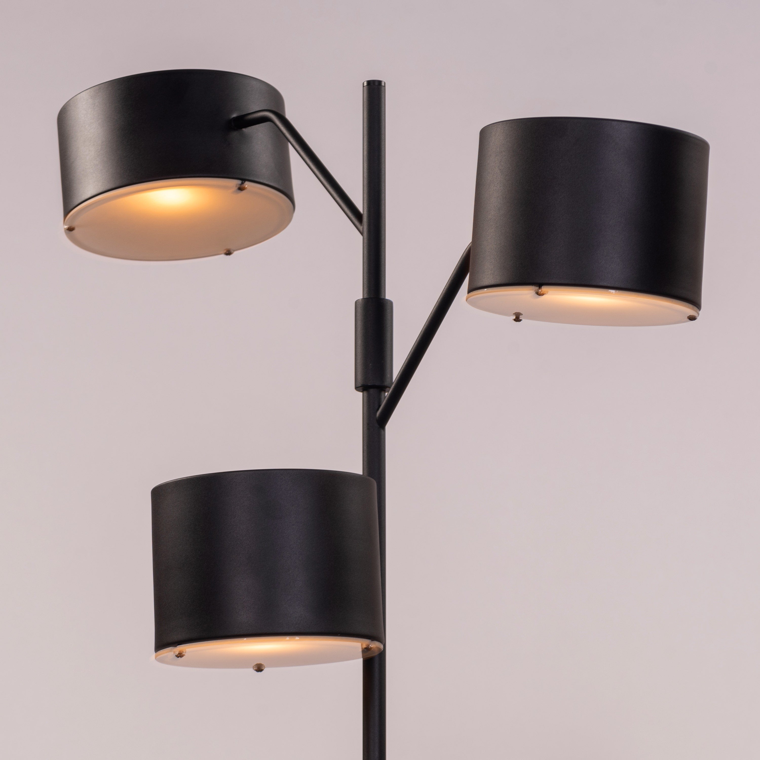 Rapture (Black) Floor Lamp