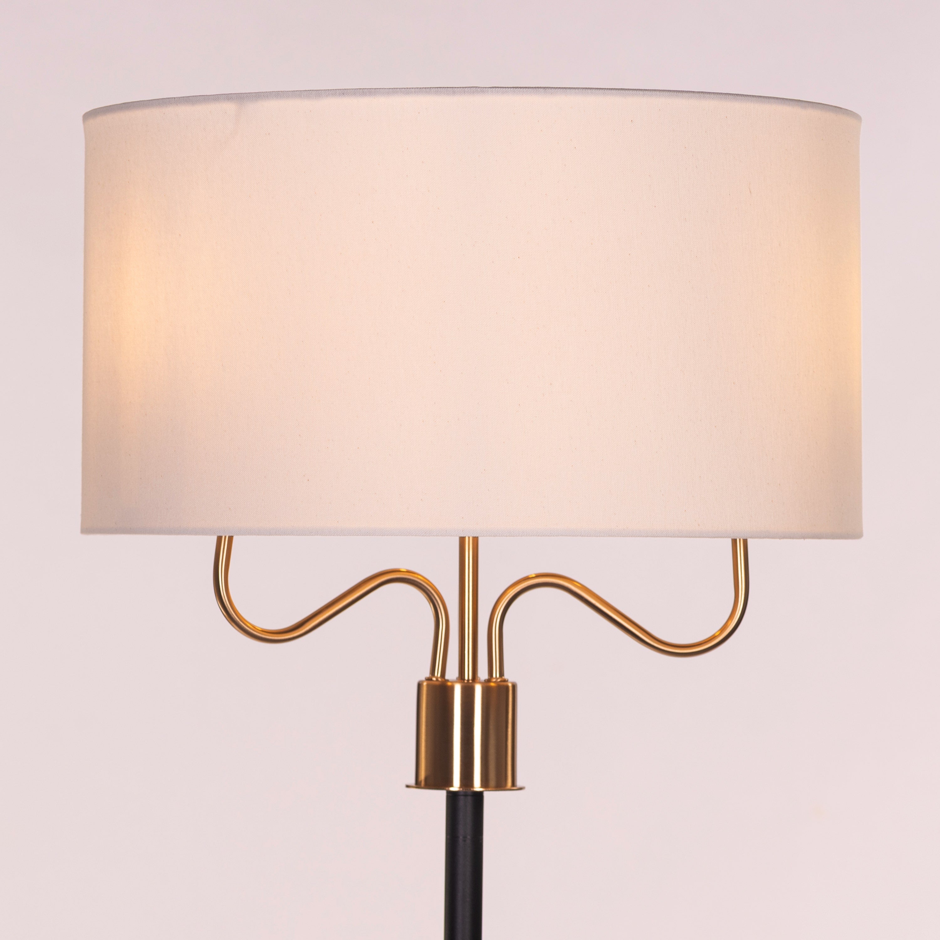 Aubrelle (Black & Gold) Marble Floor Lamp