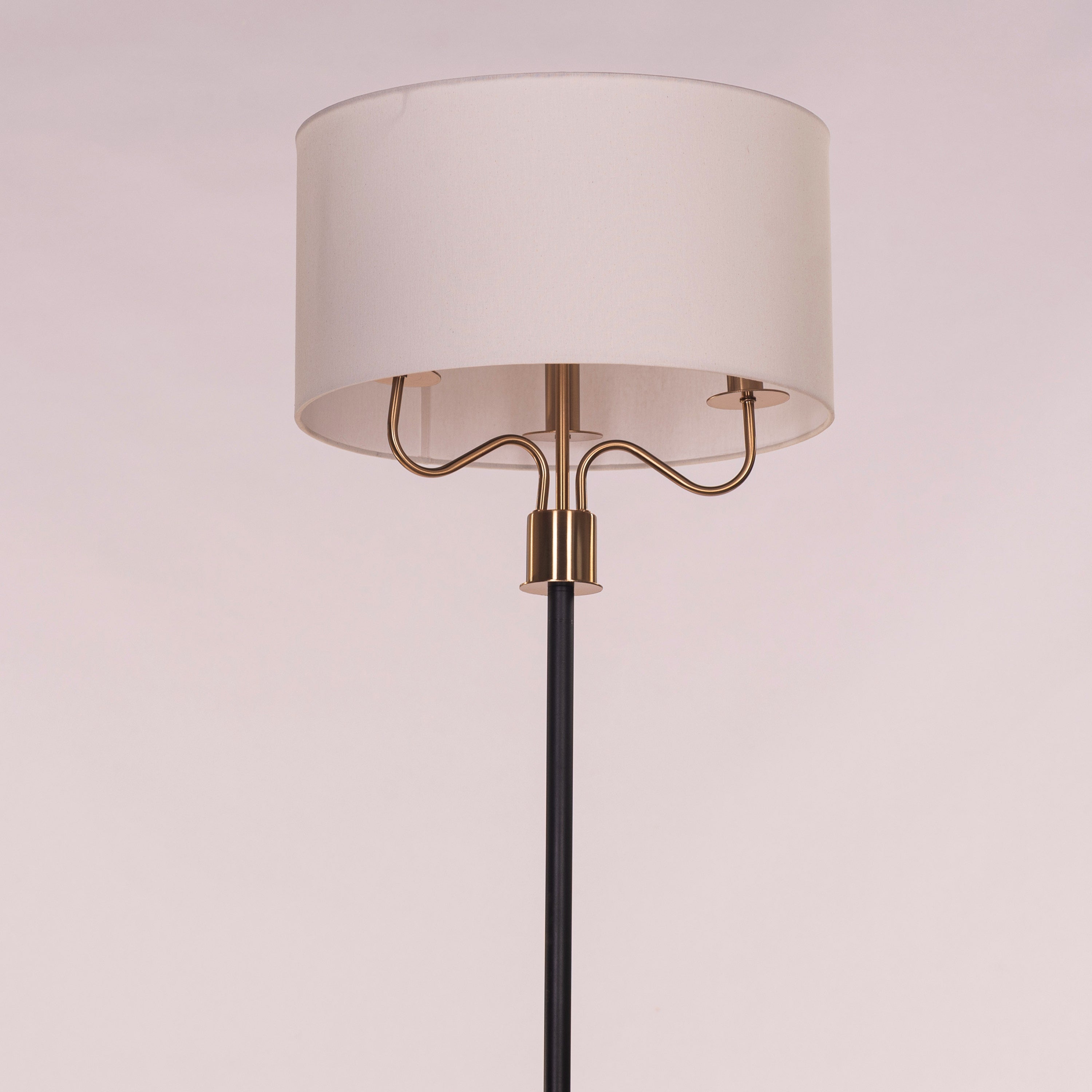 Aubrelle (Black & Gold) Marble Floor Lamp