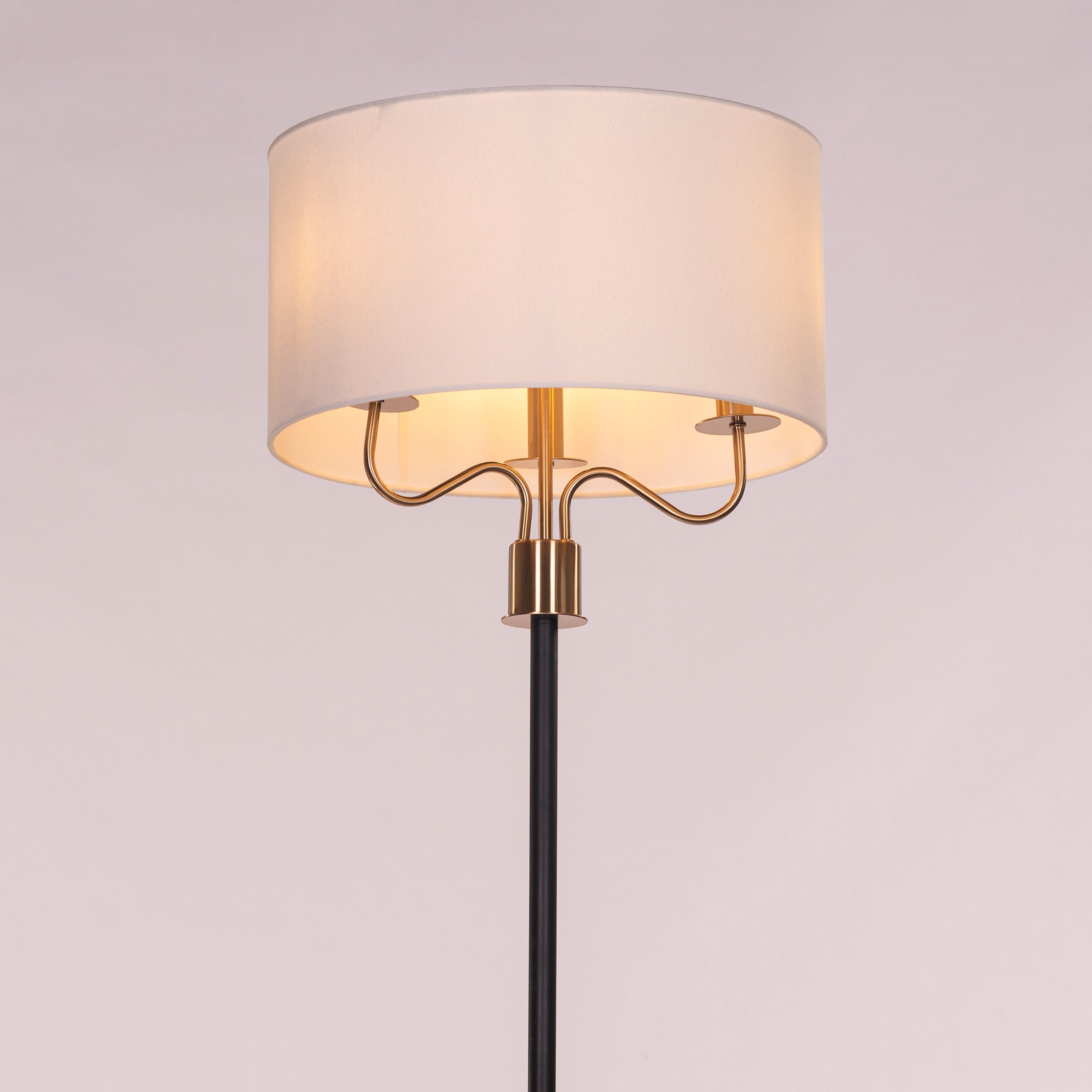 Aubrelle (Black & Gold) Marble Floor Lamp