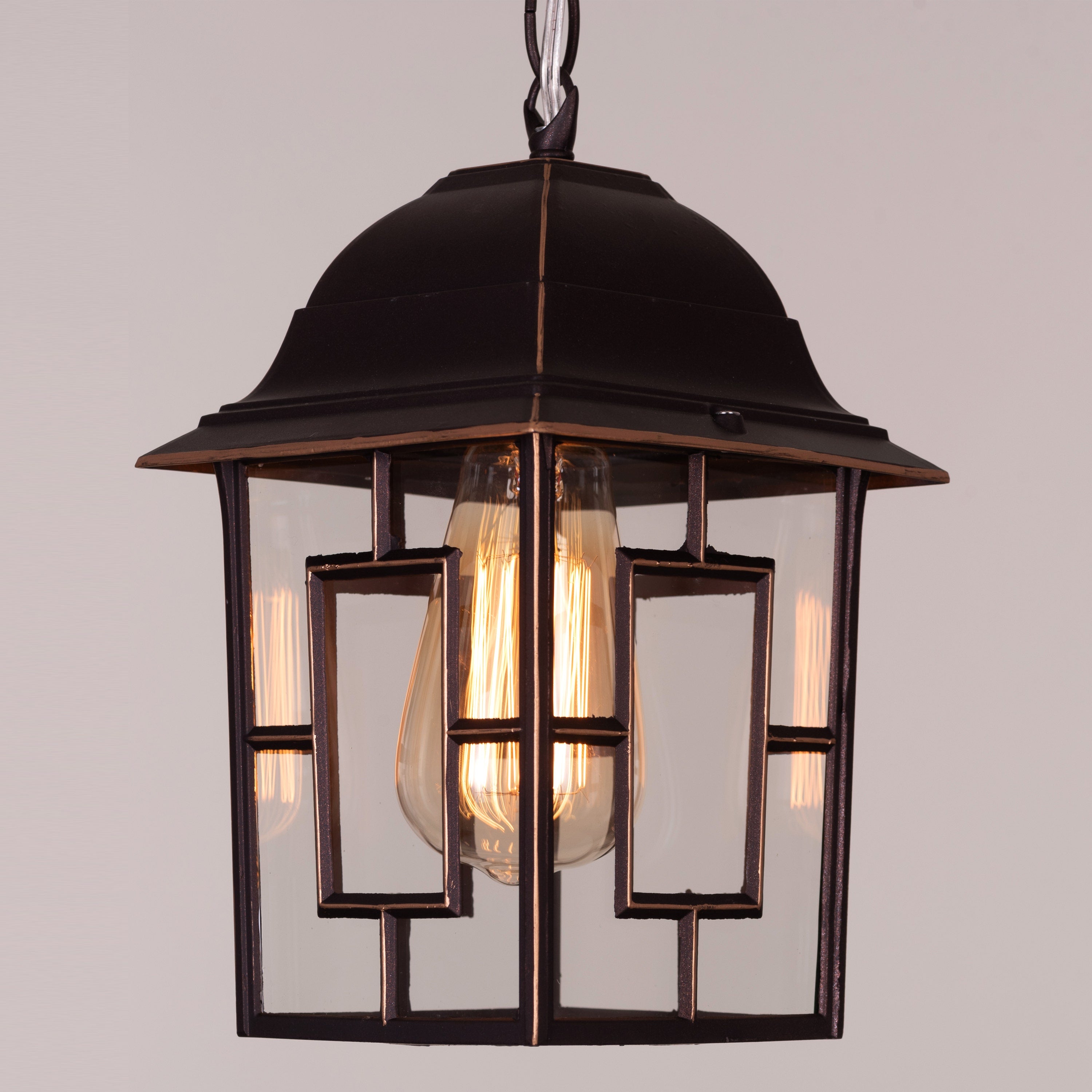 Mesmerized (Coffee) Outdoor Pendant Light