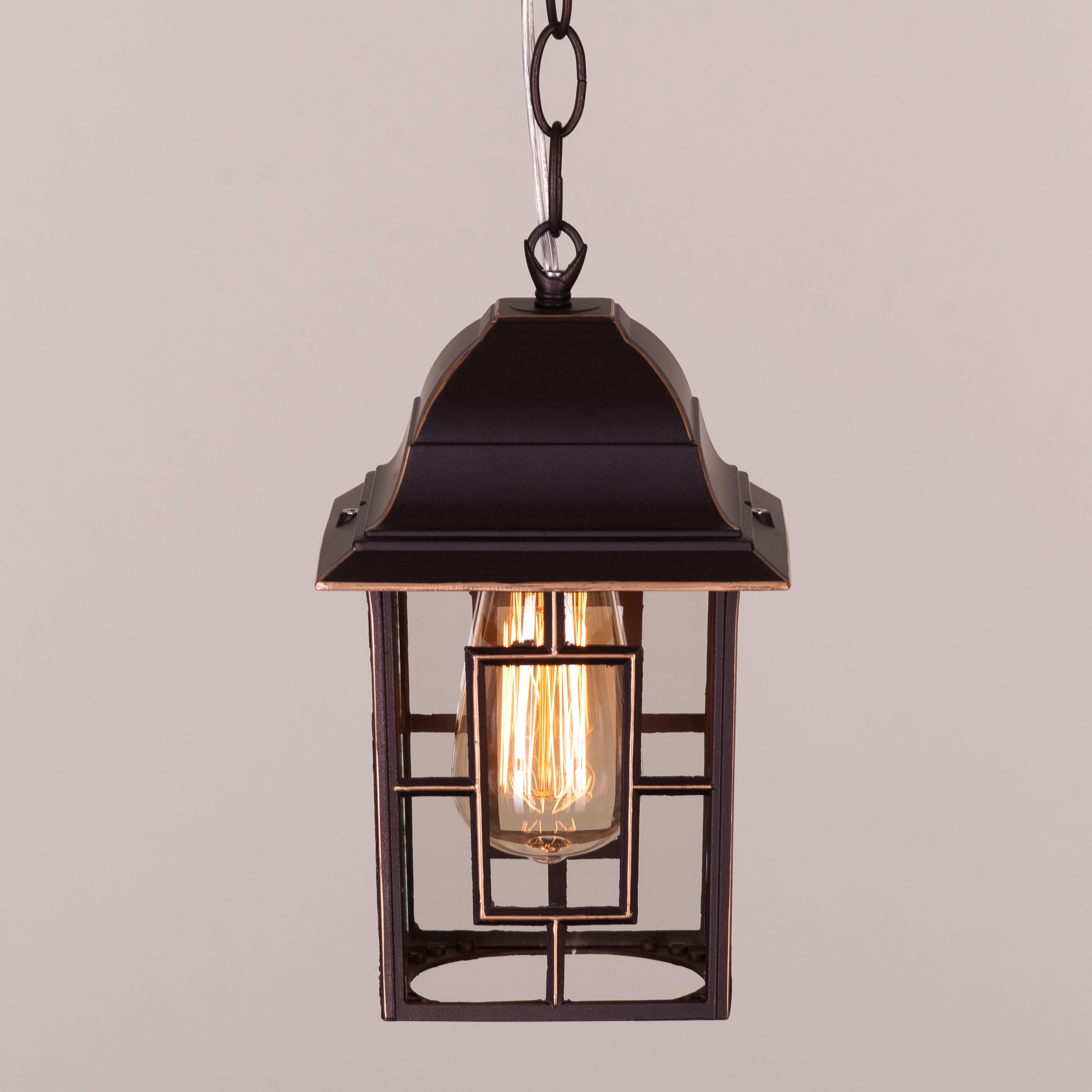 Mesmerized (Coffee) Outdoor Pendant Light