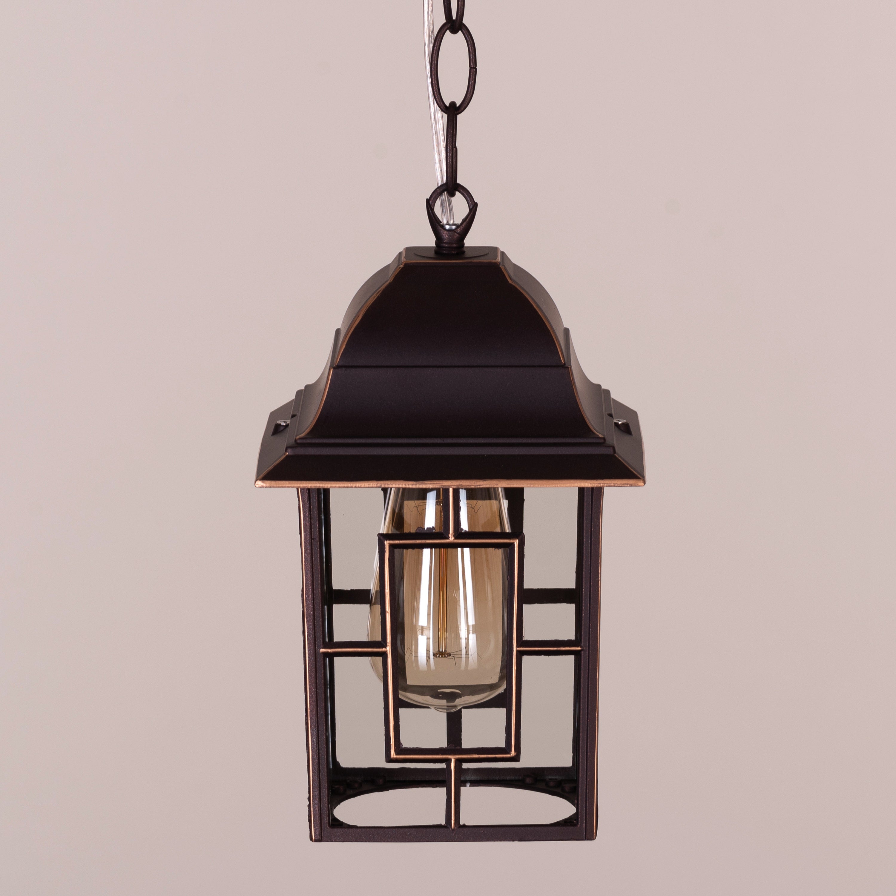 Mesmerized (Coffee) Outdoor Pendant Light