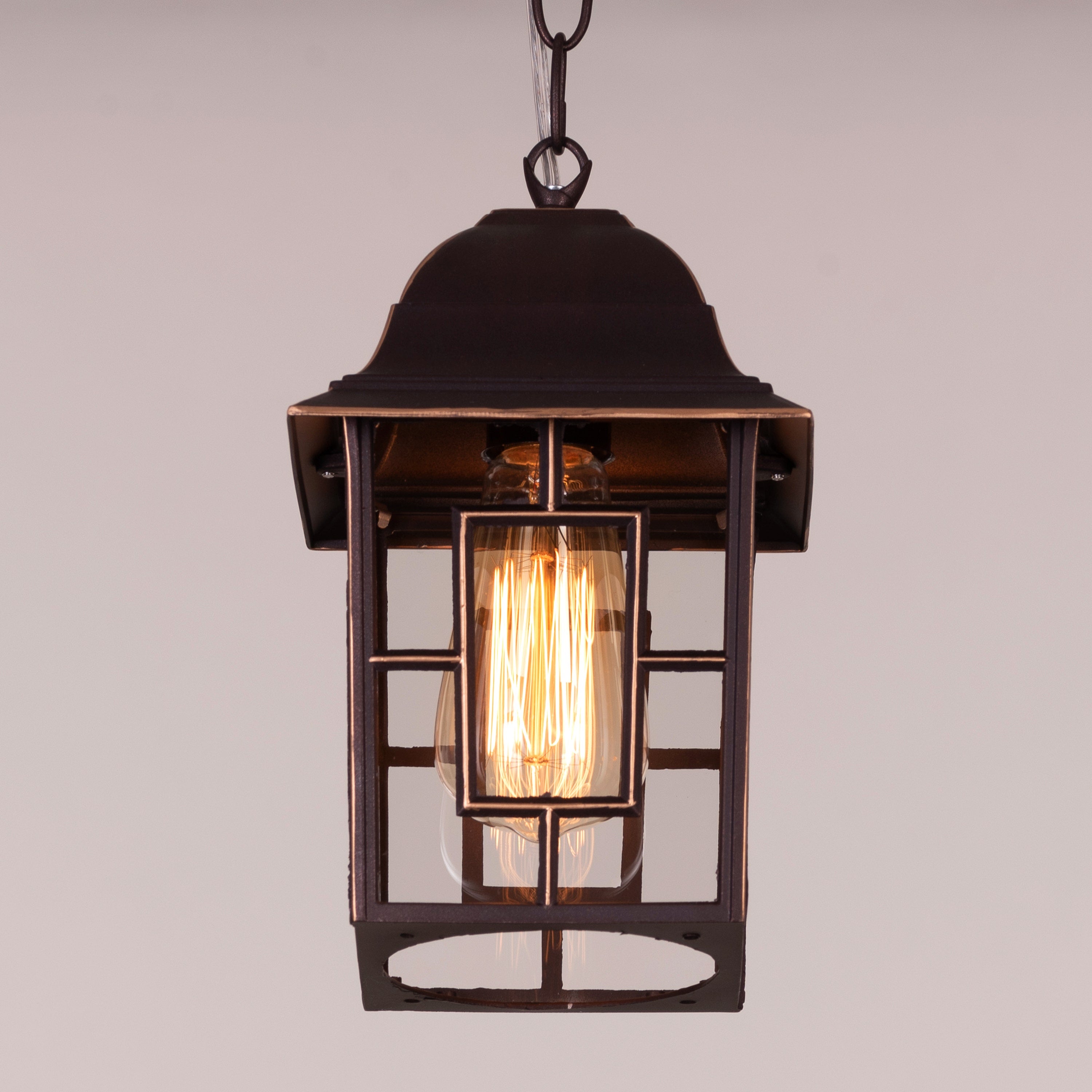 Mesmerized (Coffee) Outdoor Pendant Light