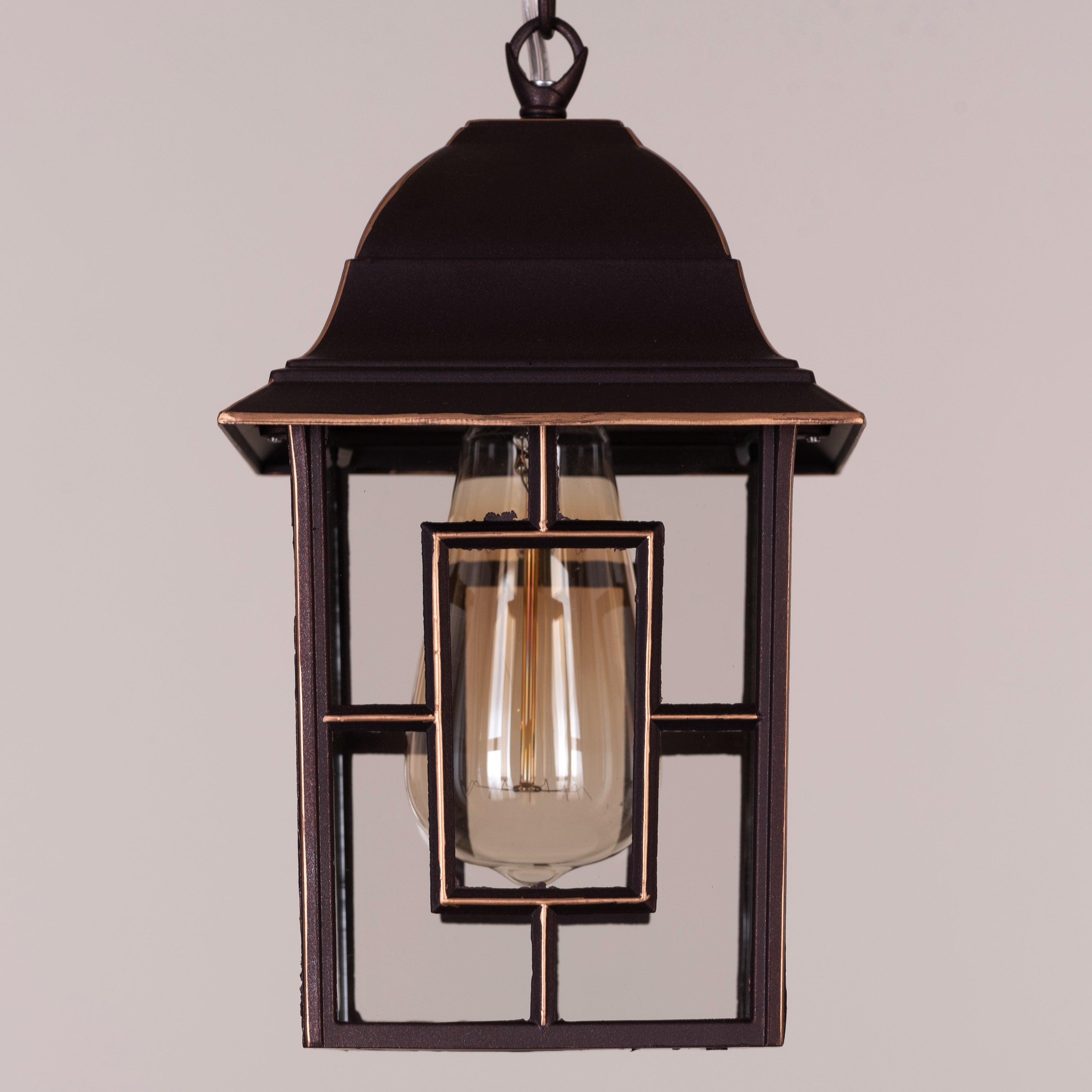 Mesmerized (Coffee) Outdoor Pendant Light