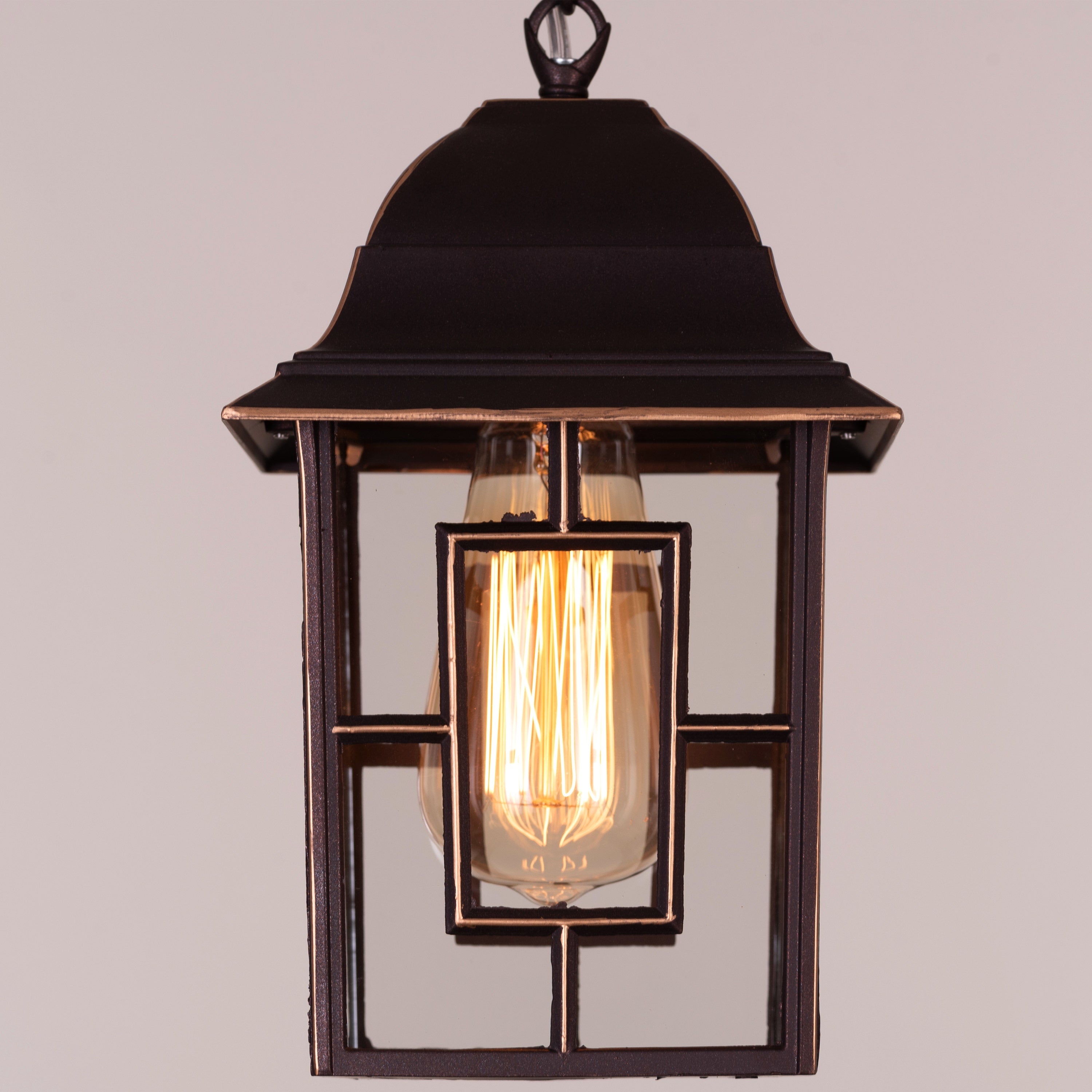 Mesmerized (Coffee) Outdoor Pendant Light