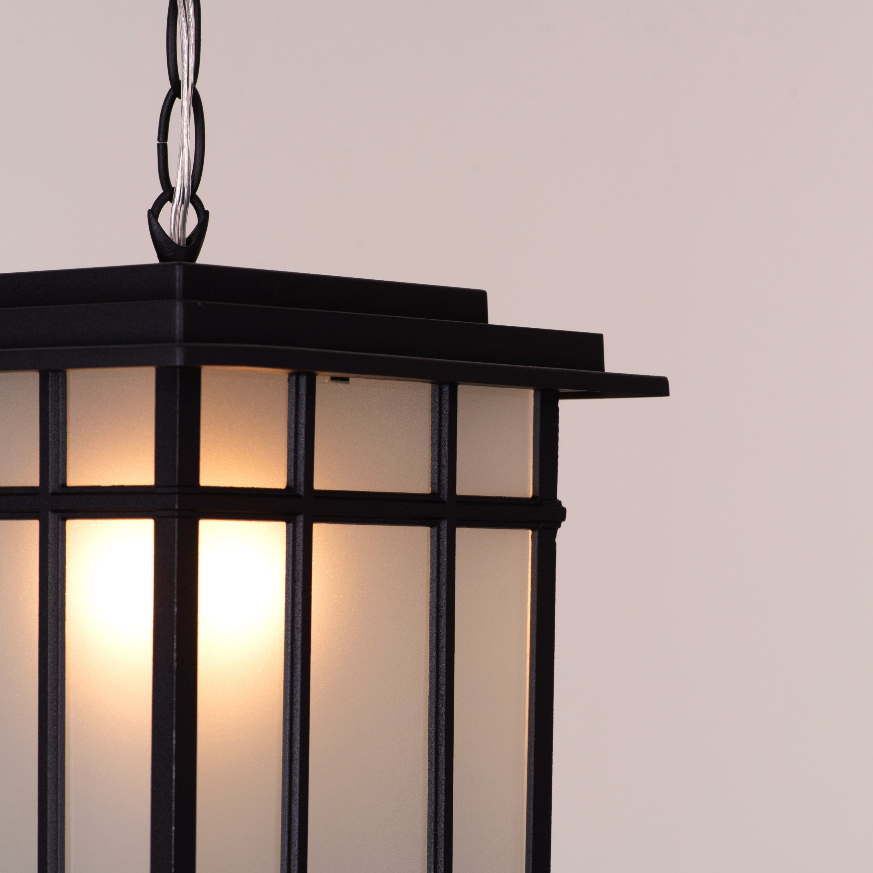 Looking Away (Black) Outdoor Pendant Light