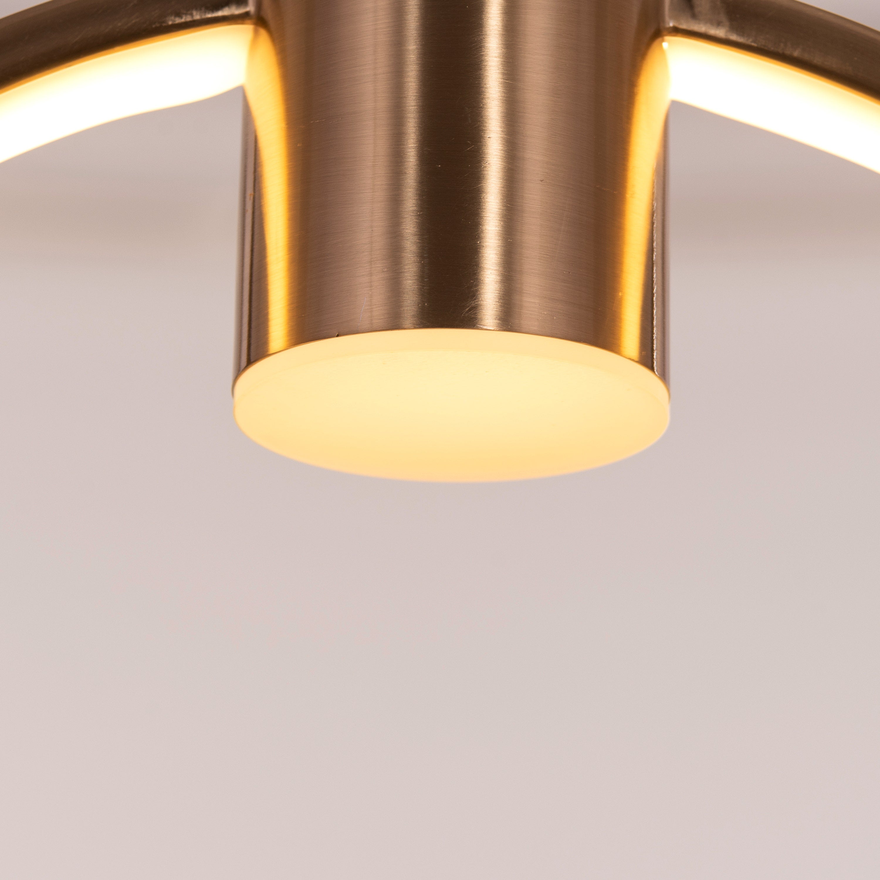 Butterfly Kisses (Gold, Dimmable LED With Remote Control) Pendant Light