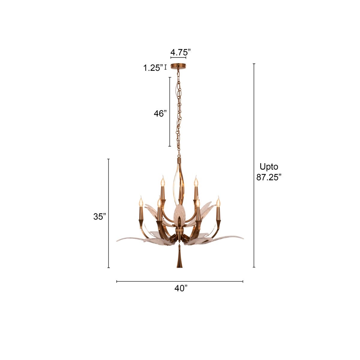 product_dimension_image