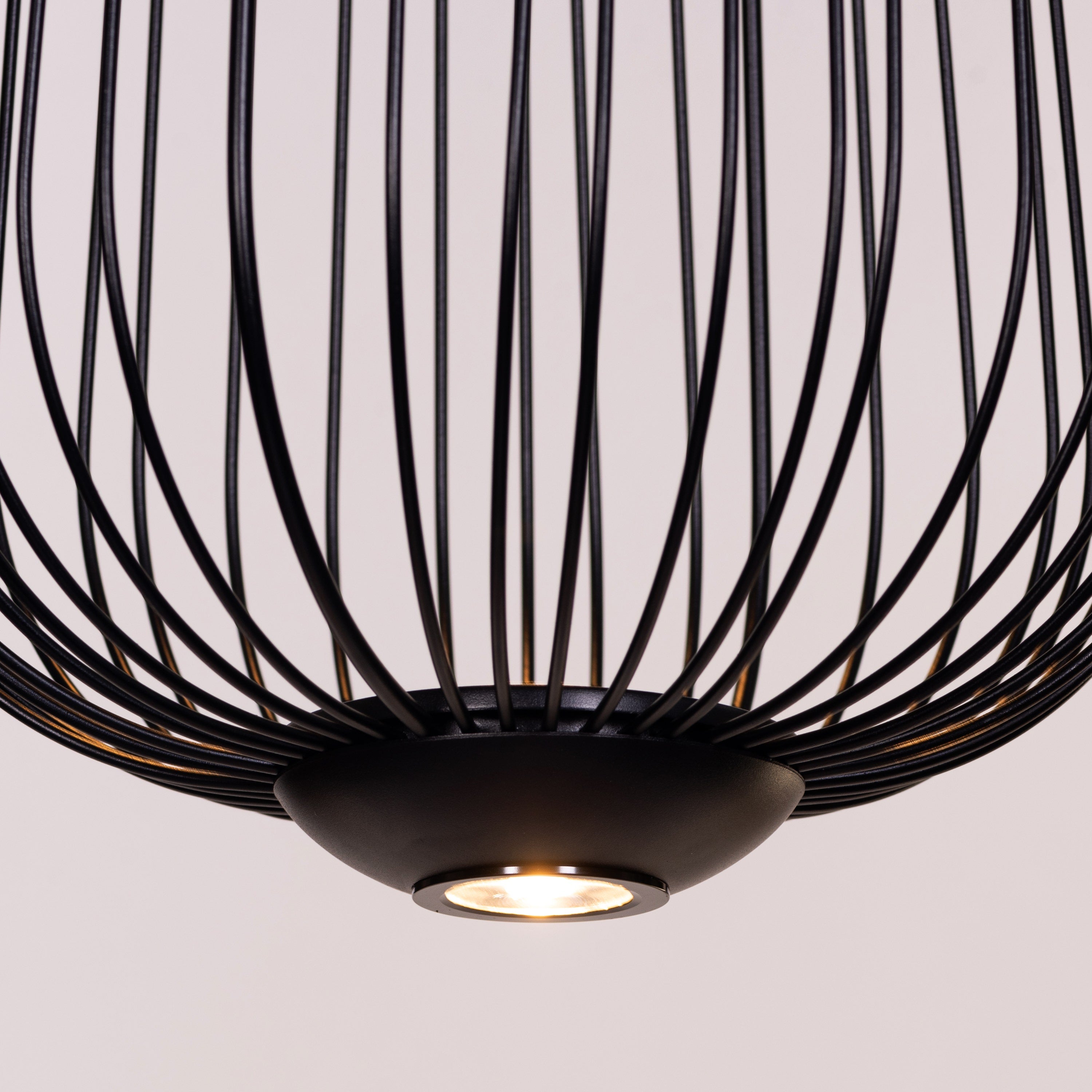Playback (Black, 3 Color LED) Pendant Light