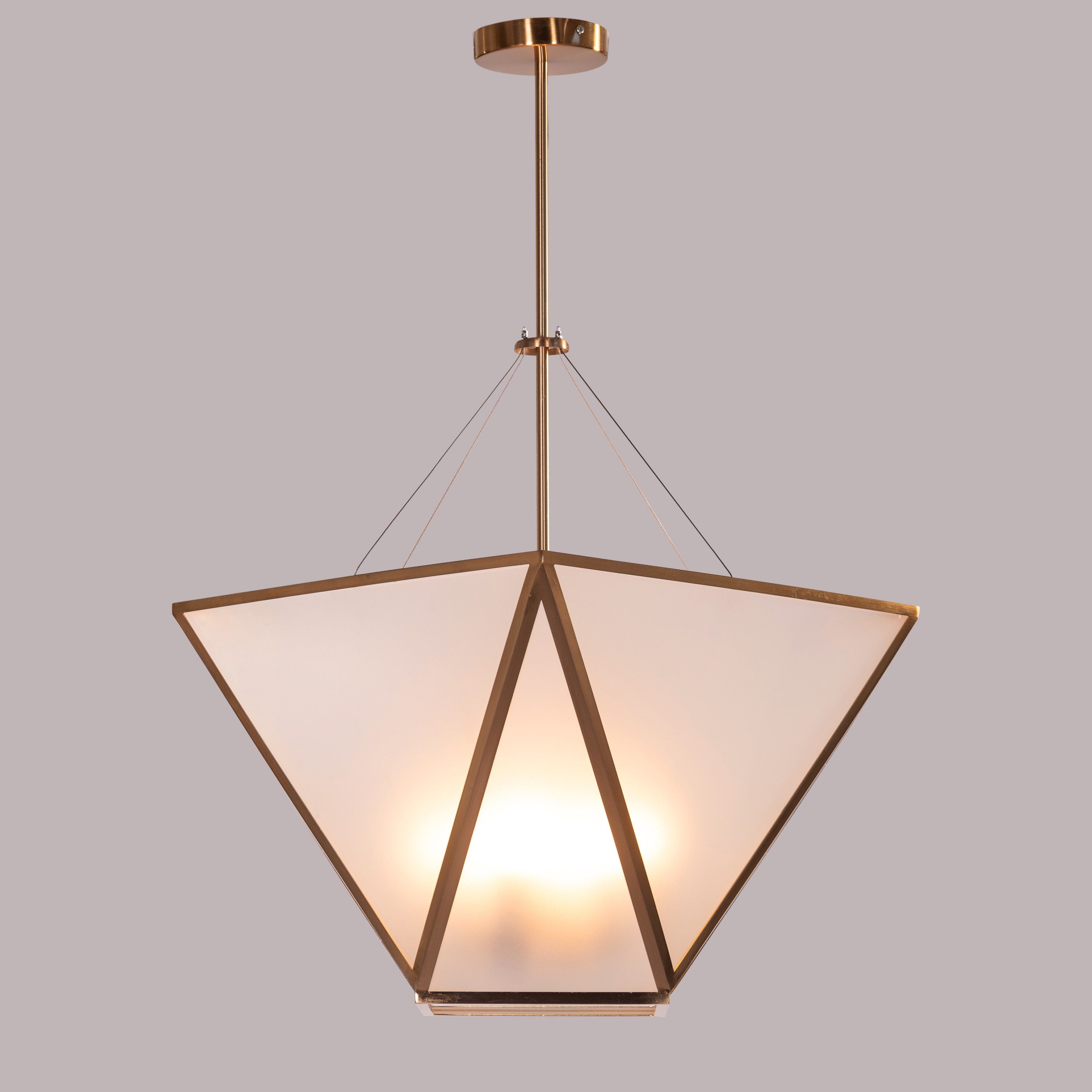 Waste These Things (Gold) Frosted Glass Pendant Light